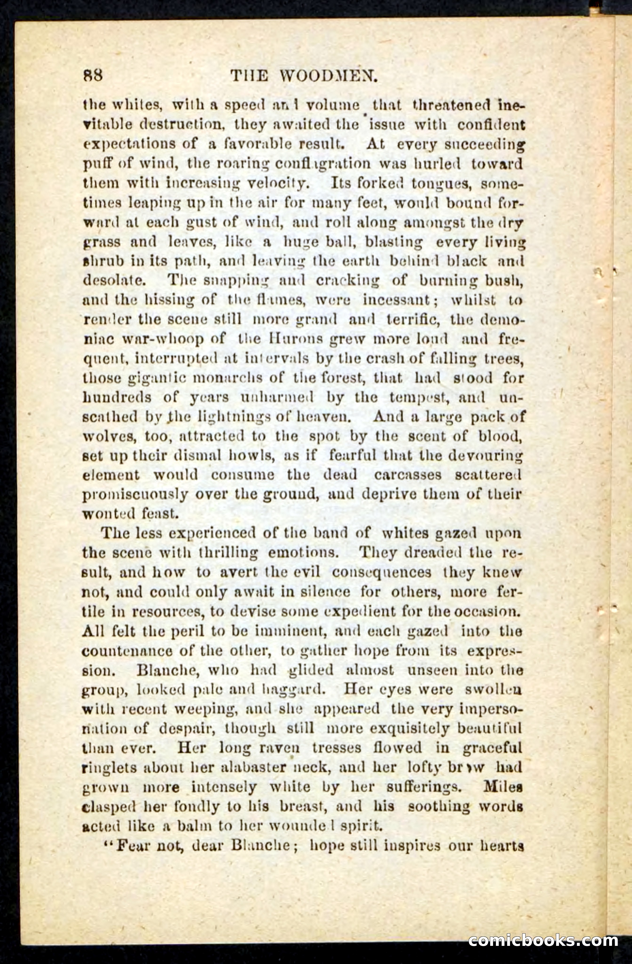 Beadle's Pocket Novels No. 214: The Backwoodsmen — page 84 of 100