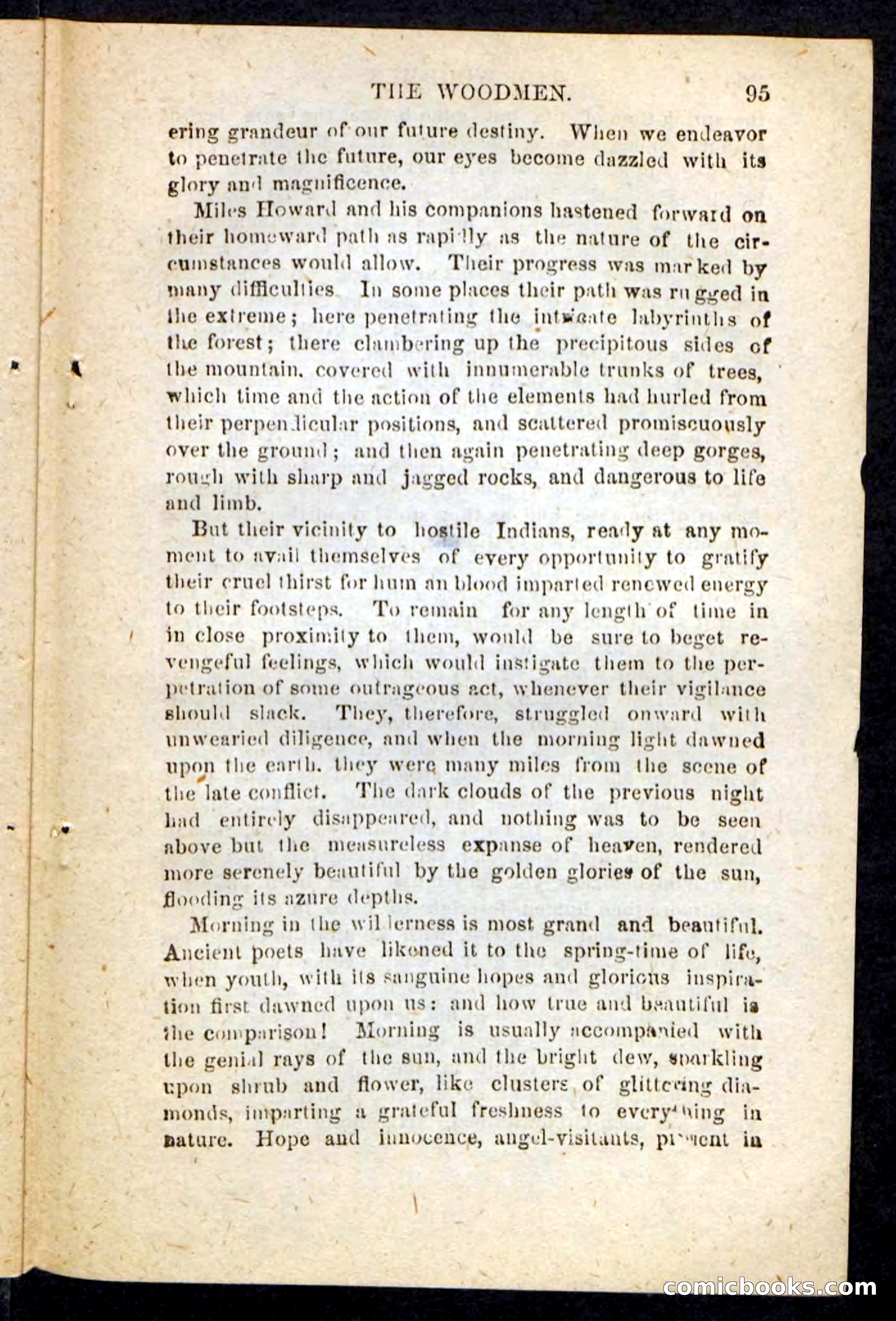 Beadle's Pocket Novels No. 214: The Backwoodsmen — page 91 of 100
