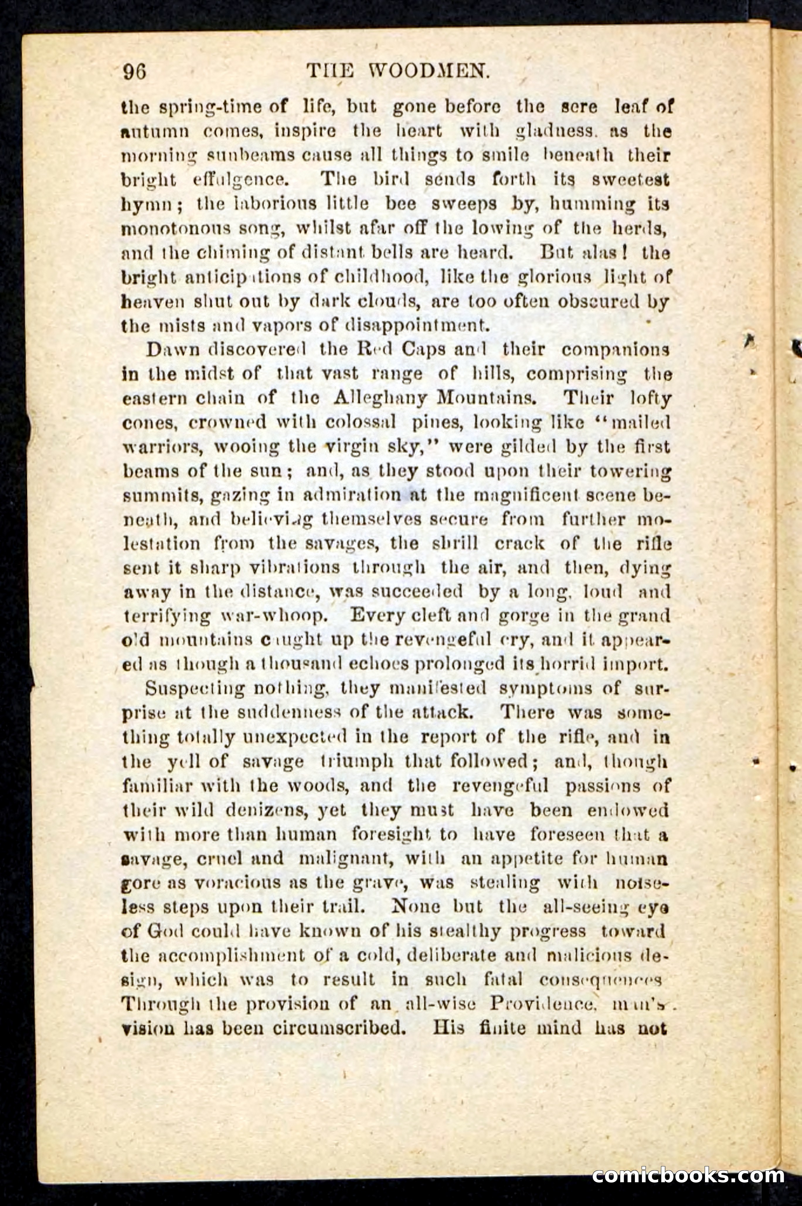 Beadle's Pocket Novels No. 214: The Backwoodsmen — page 92 of 100