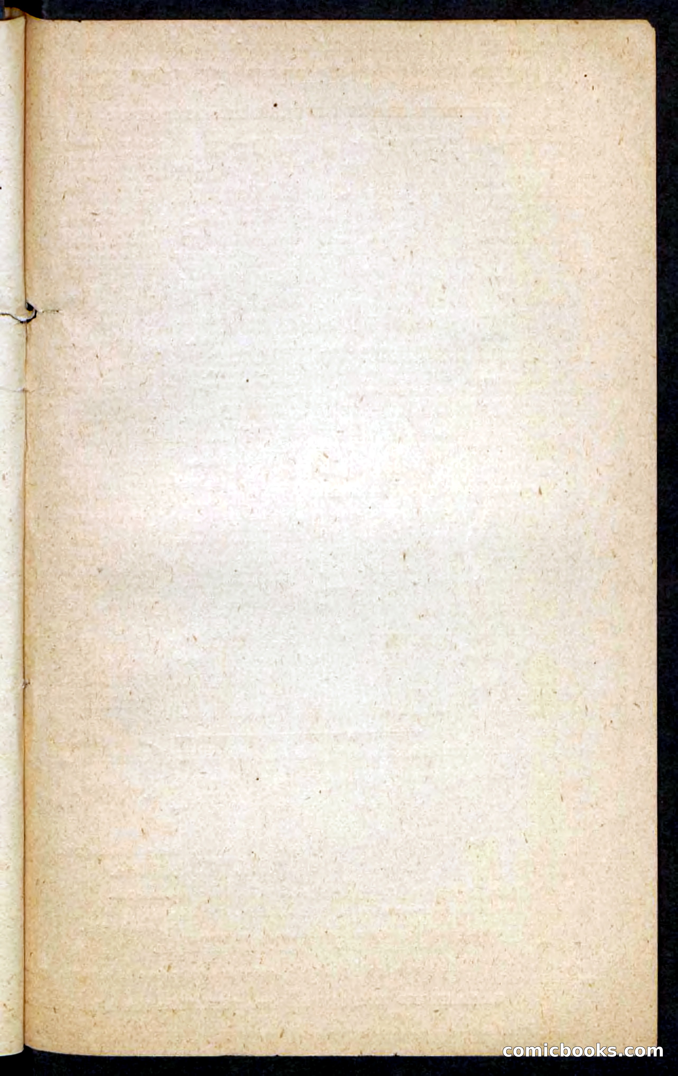 Beadle's Pocket Novels No. 214: The Backwoodsmen — page 99 of 100