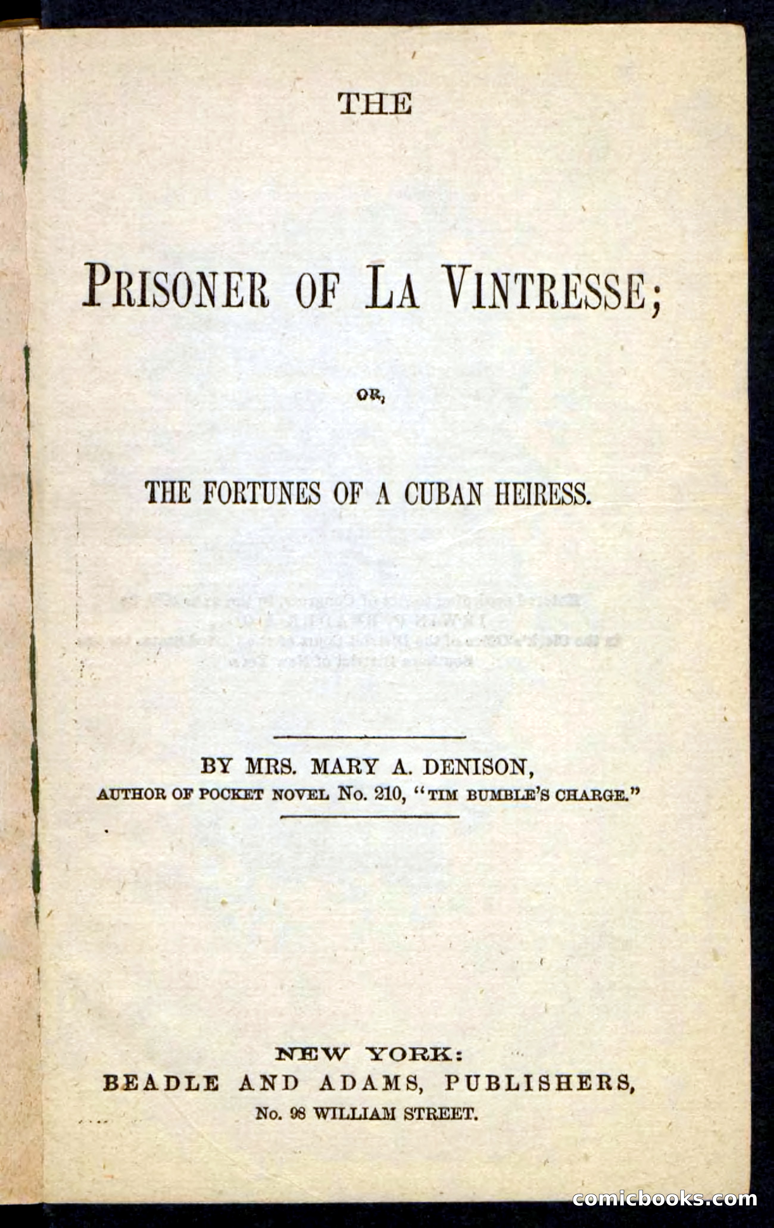Beadle's Pocket Novels No. 215: Prisoner of La Vintresse — page 3 of 100