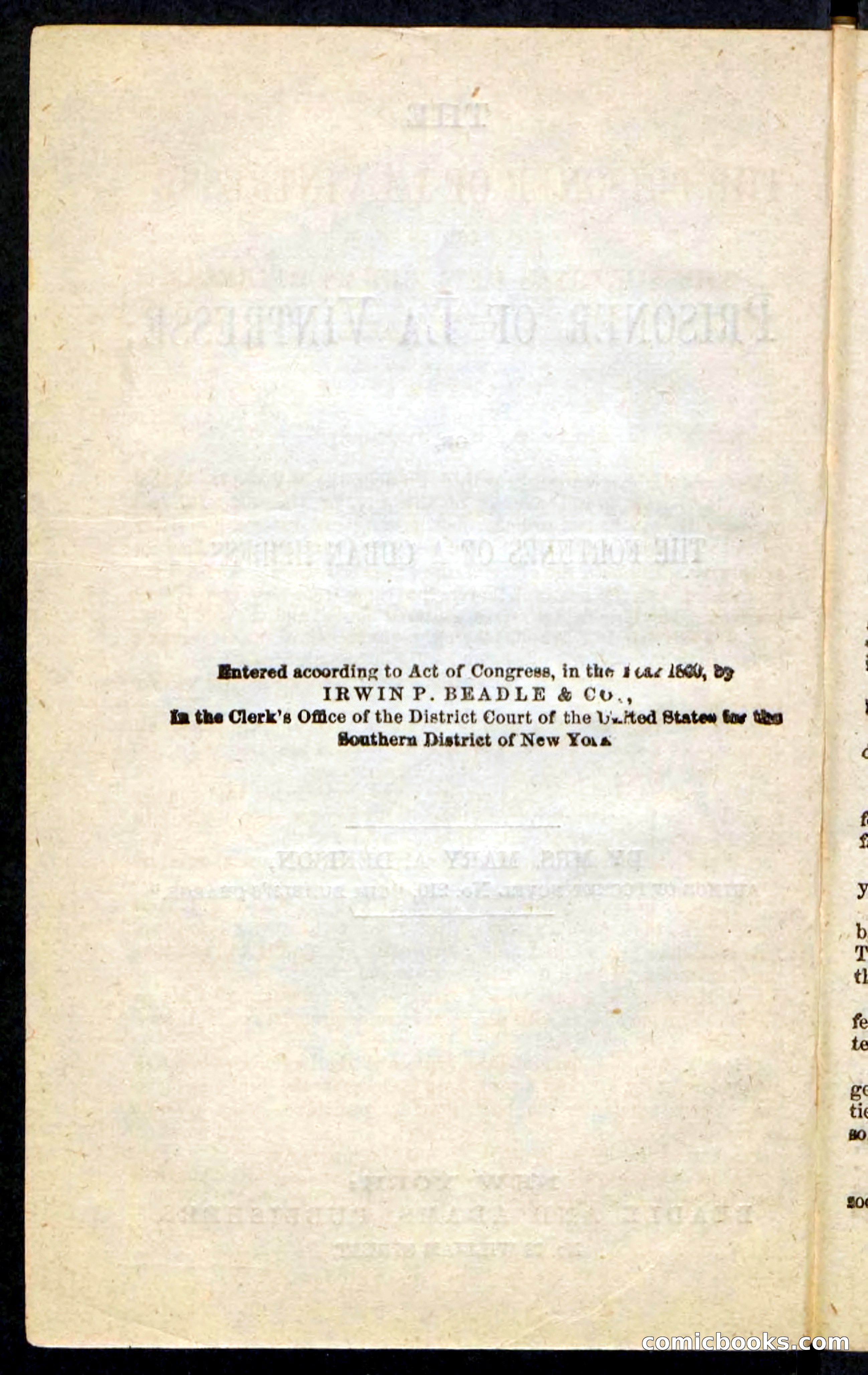 Beadle's Pocket Novels No. 215: Prisoner of La Vintresse — page 4 of 100