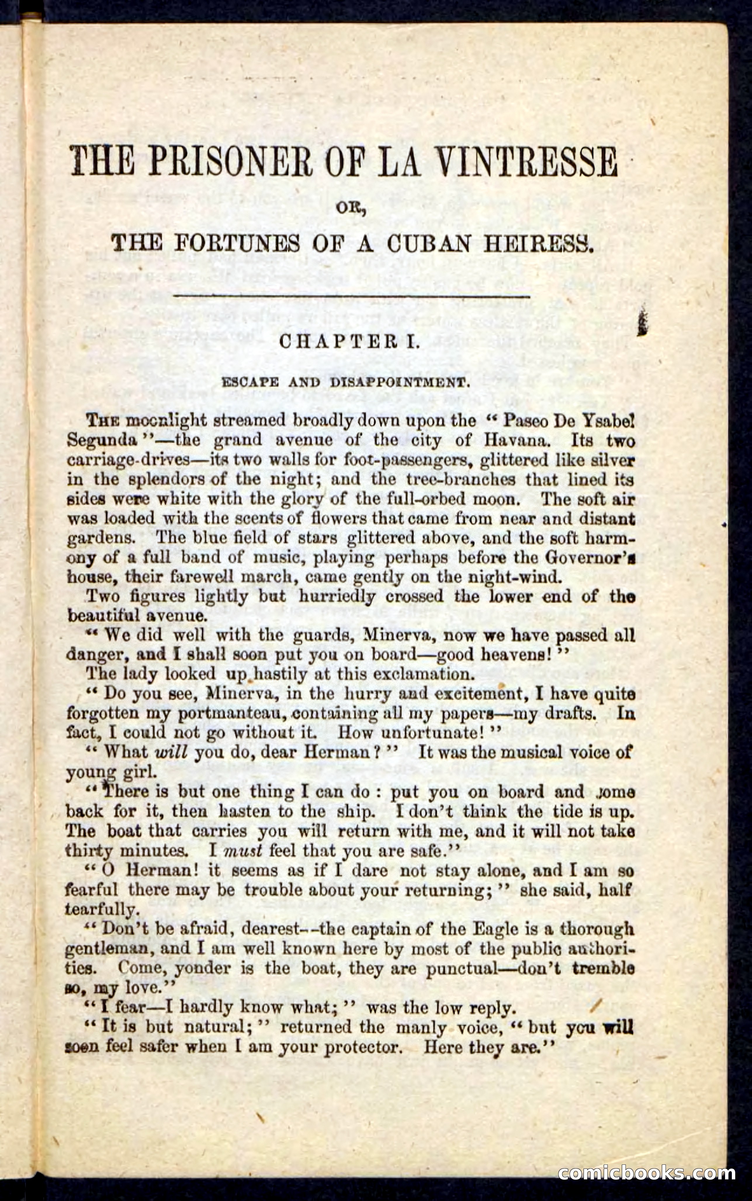 Beadle's Pocket Novels No. 215: Prisoner of La Vintresse — page 5 of 100