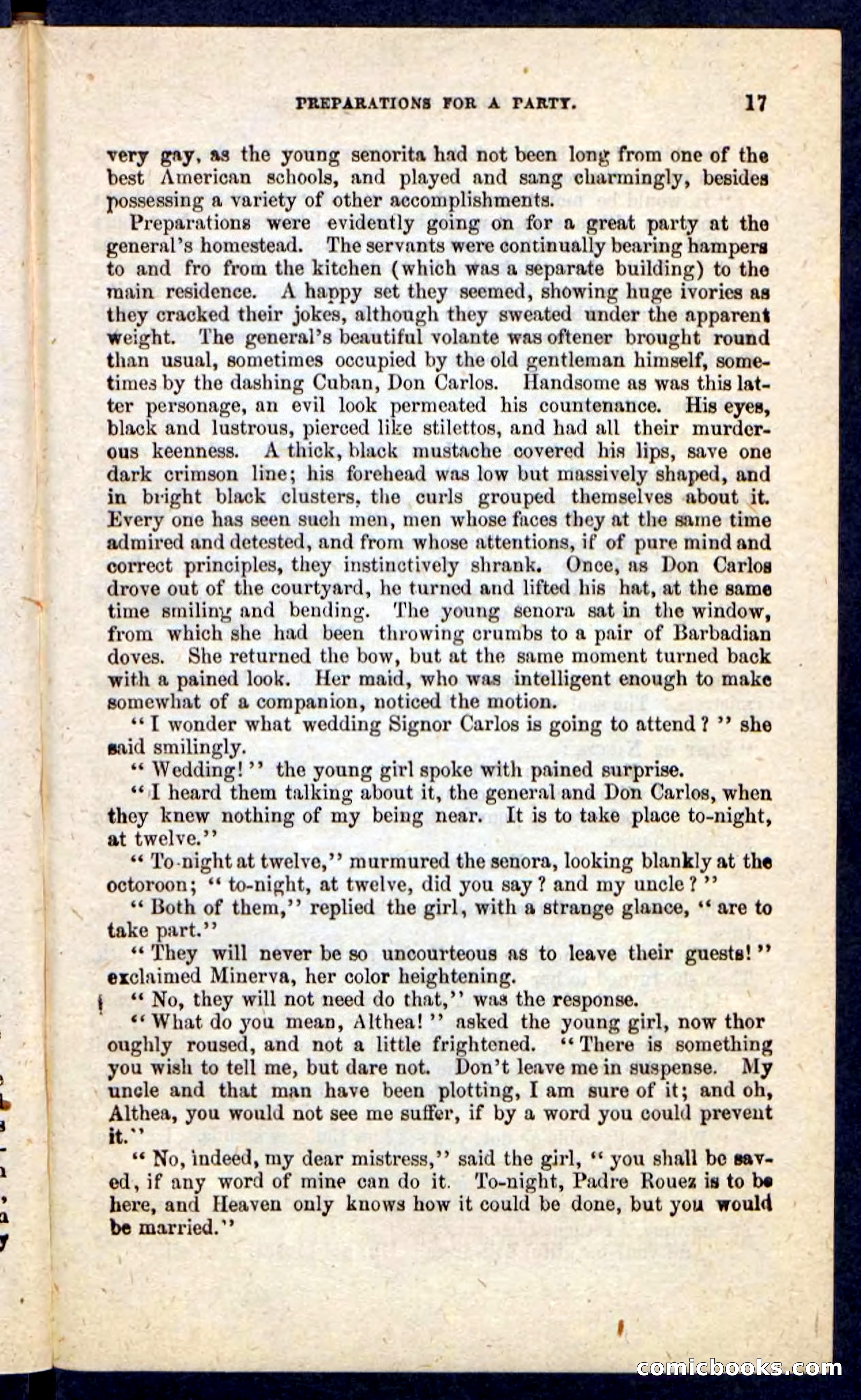 Beadle's Pocket Novels No. 215: Prisoner of La Vintresse — page 13 of 100