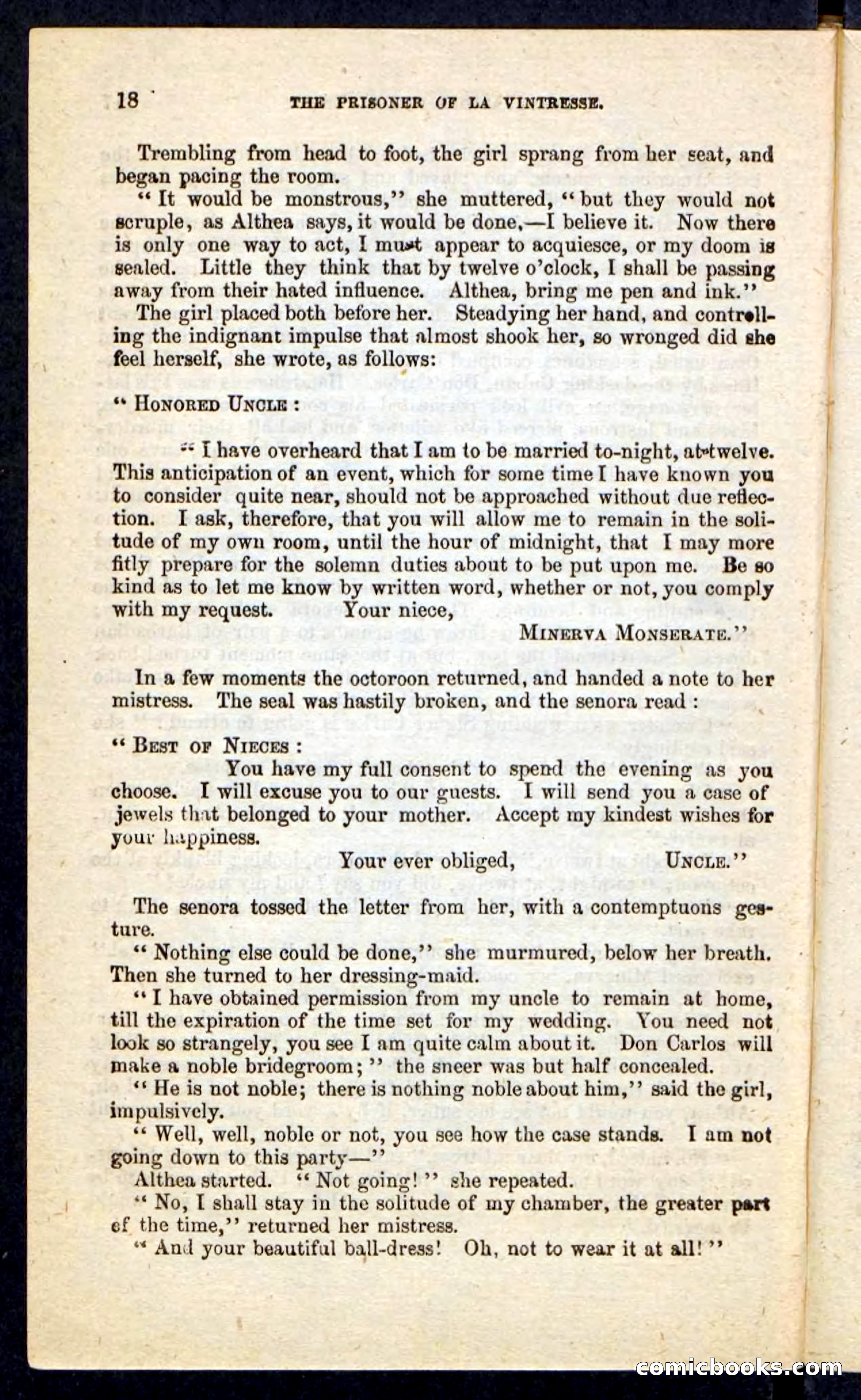 Beadle's Pocket Novels No. 215: Prisoner of La Vintresse — page 14 of 100