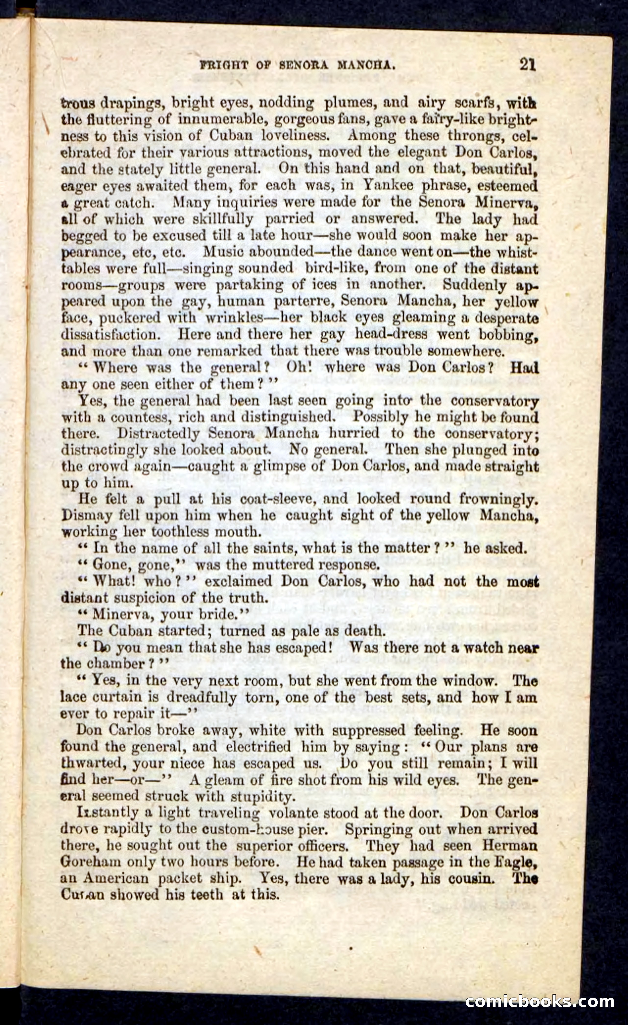 Beadle's Pocket Novels No. 215: Prisoner of La Vintresse — page 17 of 100