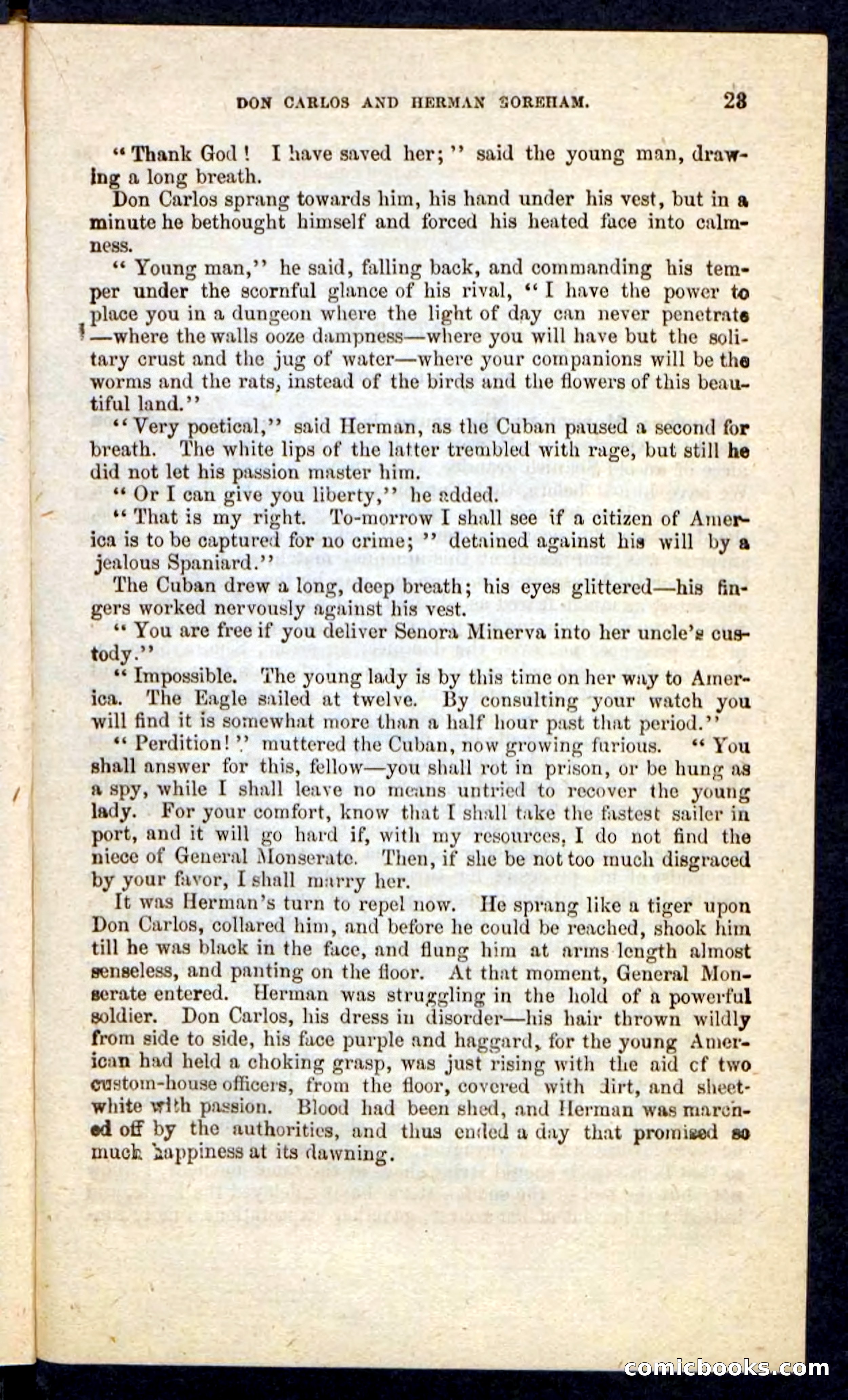 Beadle's Pocket Novels No. 215: Prisoner of La Vintresse — page 19 of 100