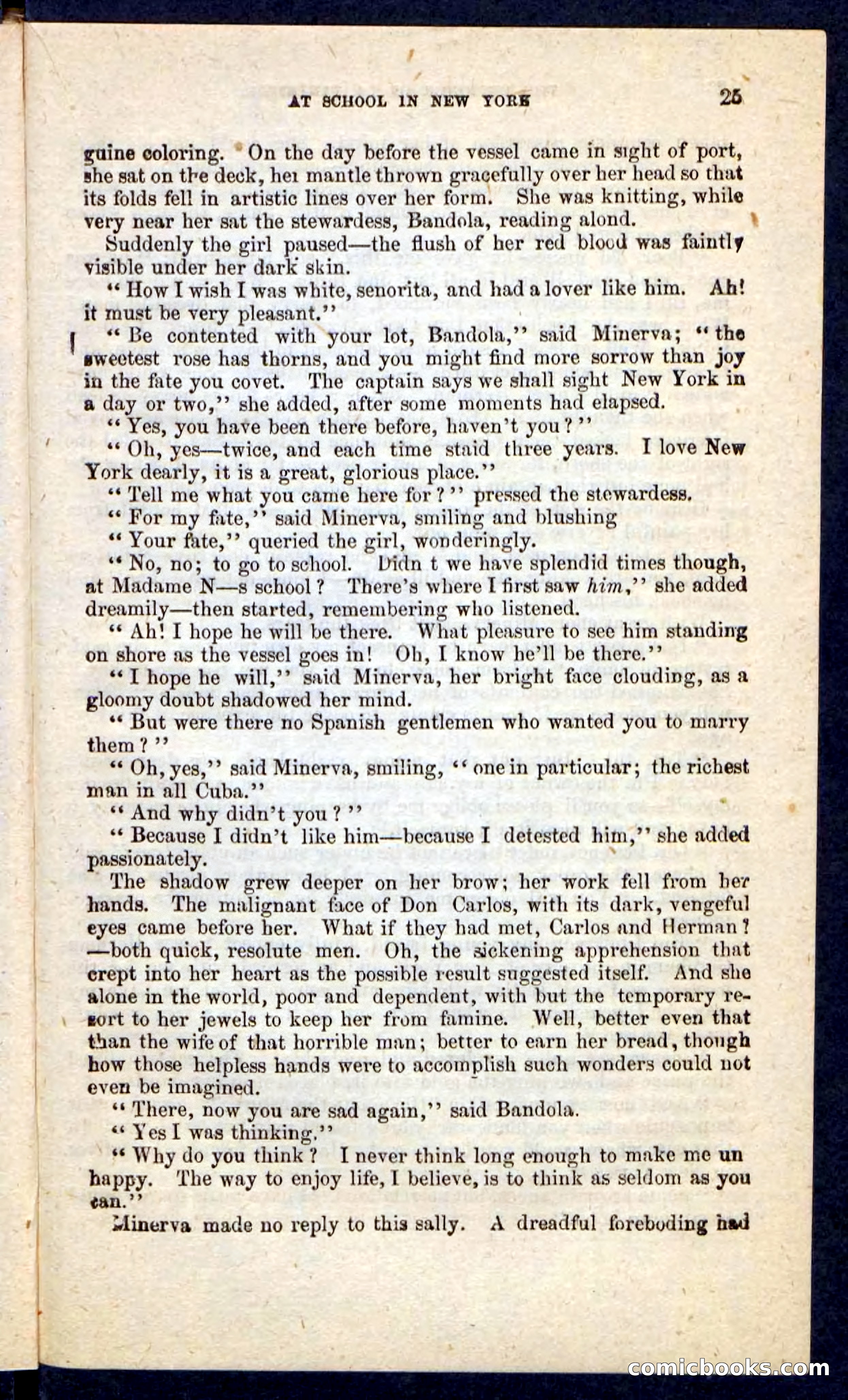 Beadle's Pocket Novels No. 215: Prisoner of La Vintresse — page 21 of 100