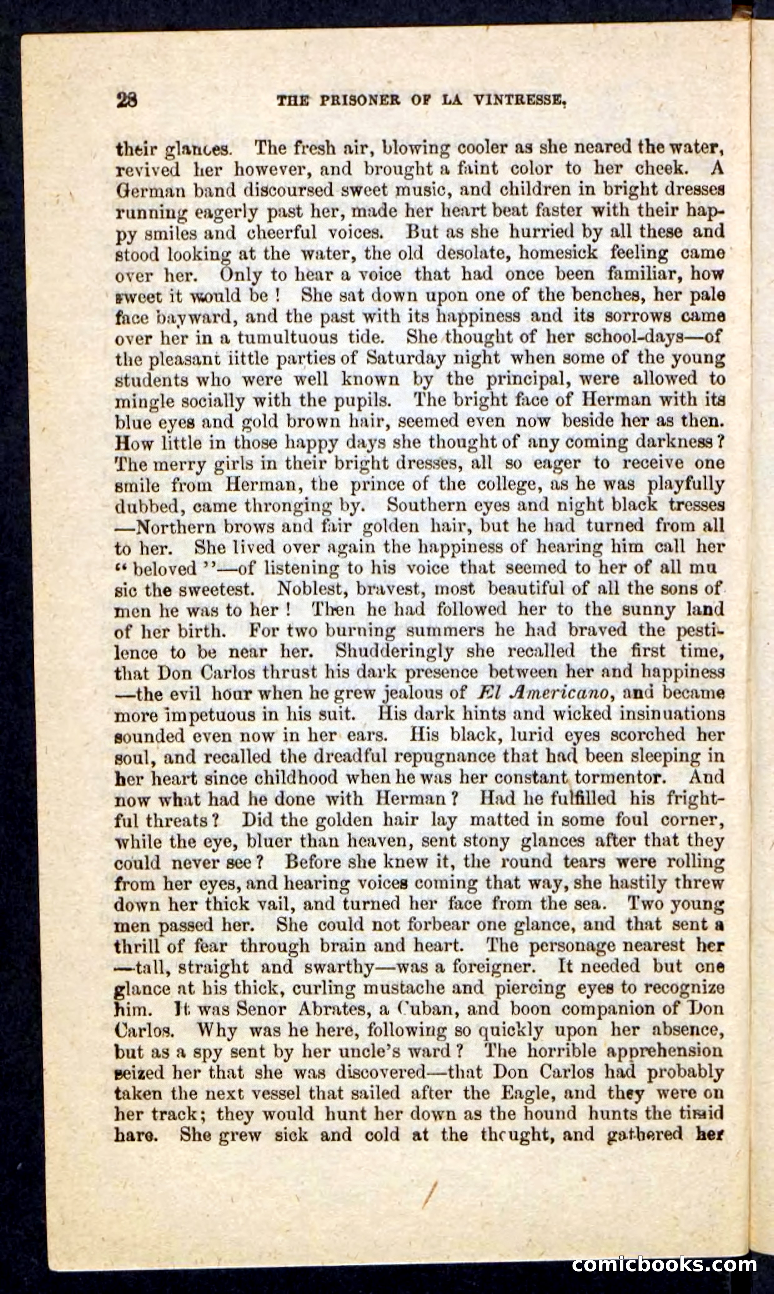 Beadle's Pocket Novels No. 215: Prisoner of La Vintresse — page 24 of 100