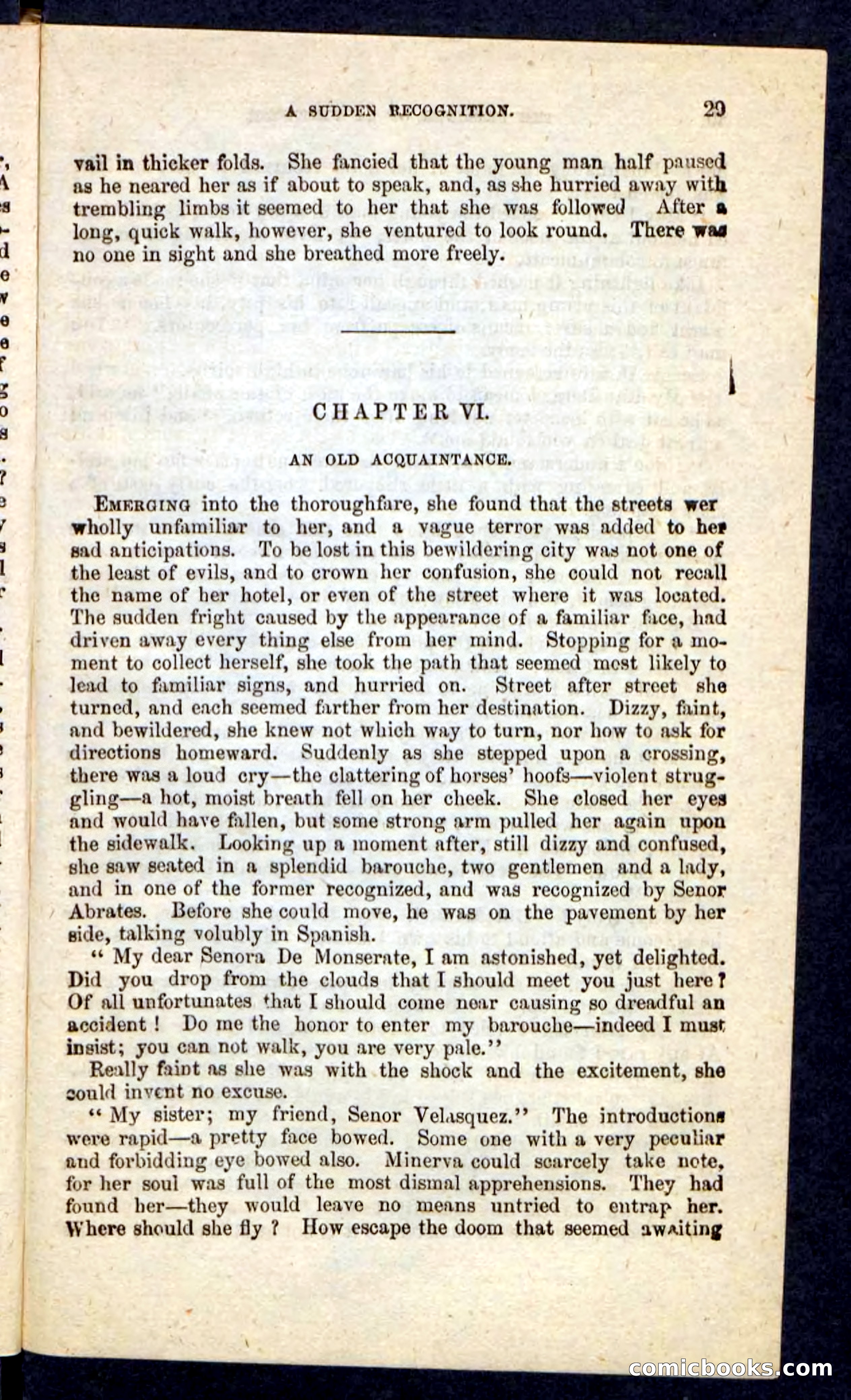 Beadle's Pocket Novels No. 215: Prisoner of La Vintresse — page 25 of 100