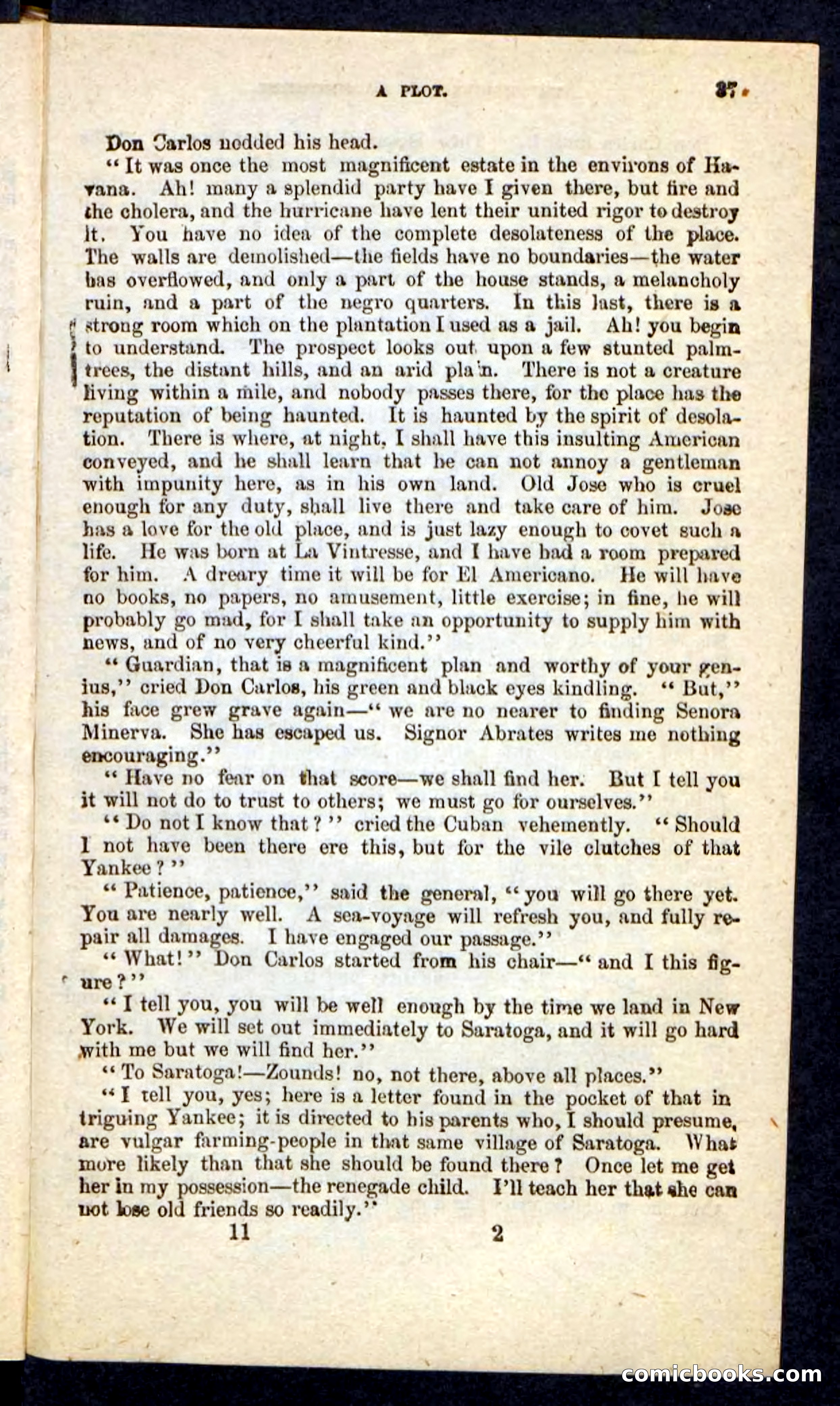 Beadle's Pocket Novels No. 215: Prisoner of La Vintresse — page 33 of 100