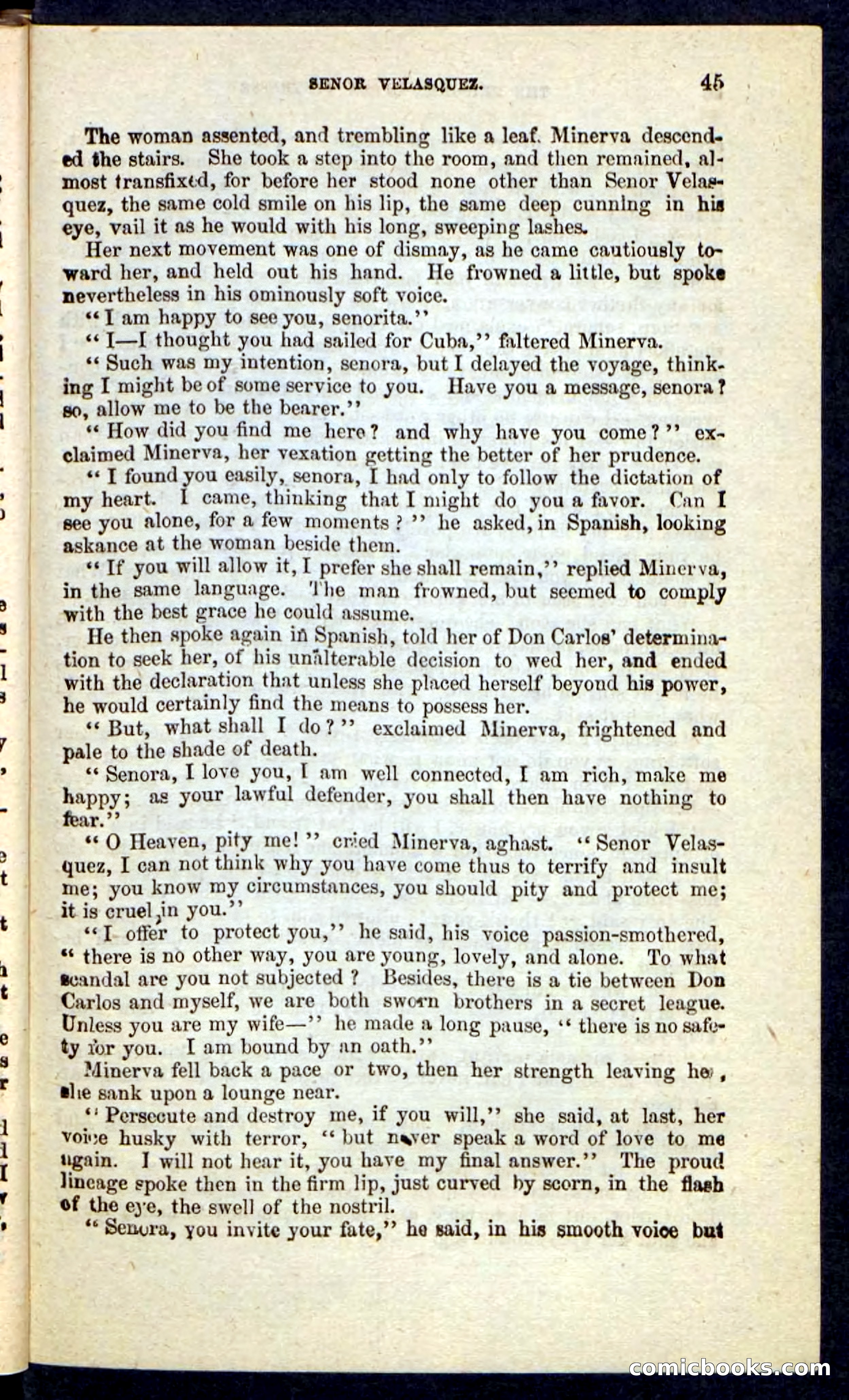 Beadle's Pocket Novels No. 215: Prisoner of La Vintresse — page 41 of 100