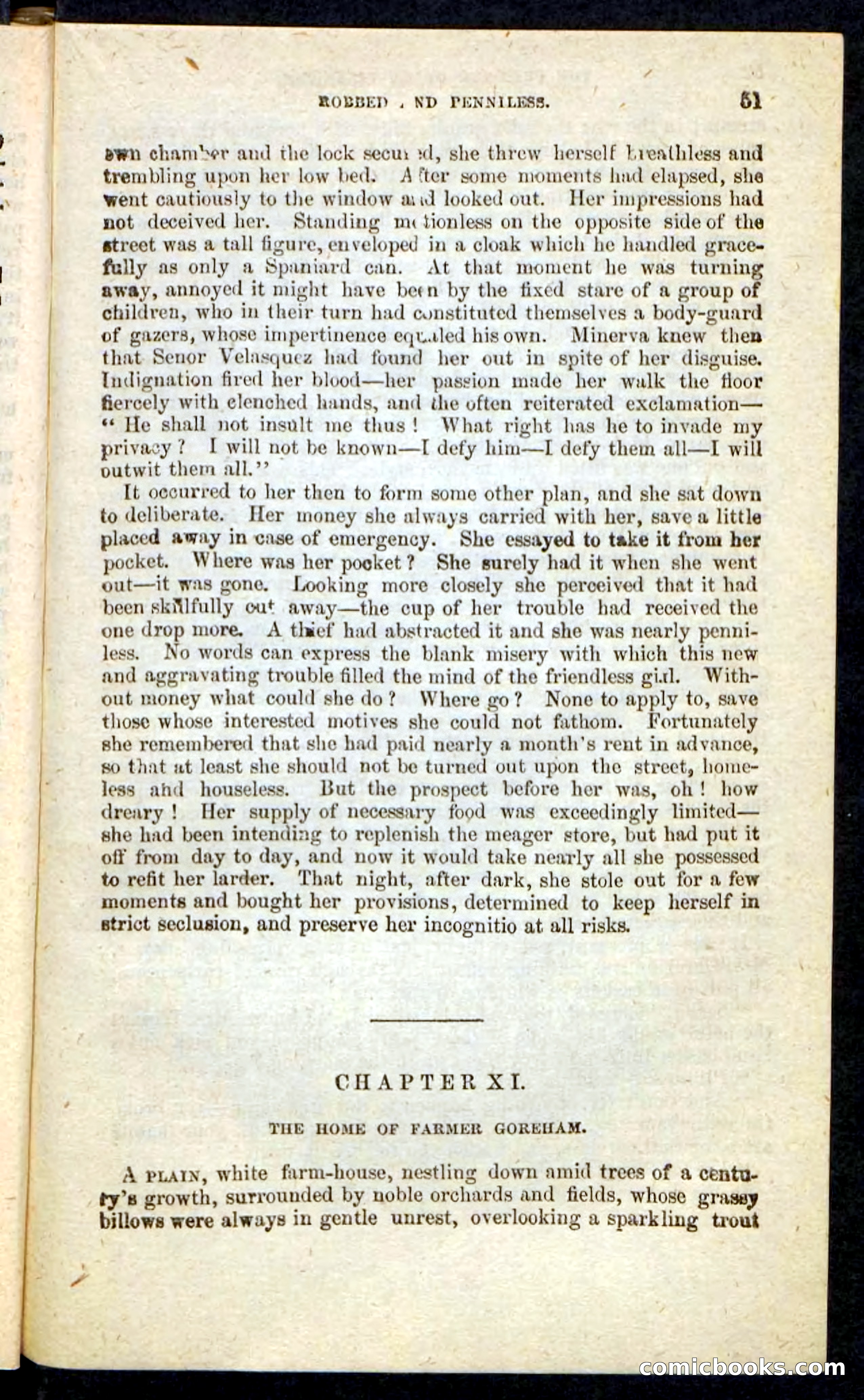 Beadle's Pocket Novels No. 215: Prisoner of La Vintresse — page 47 of 100
