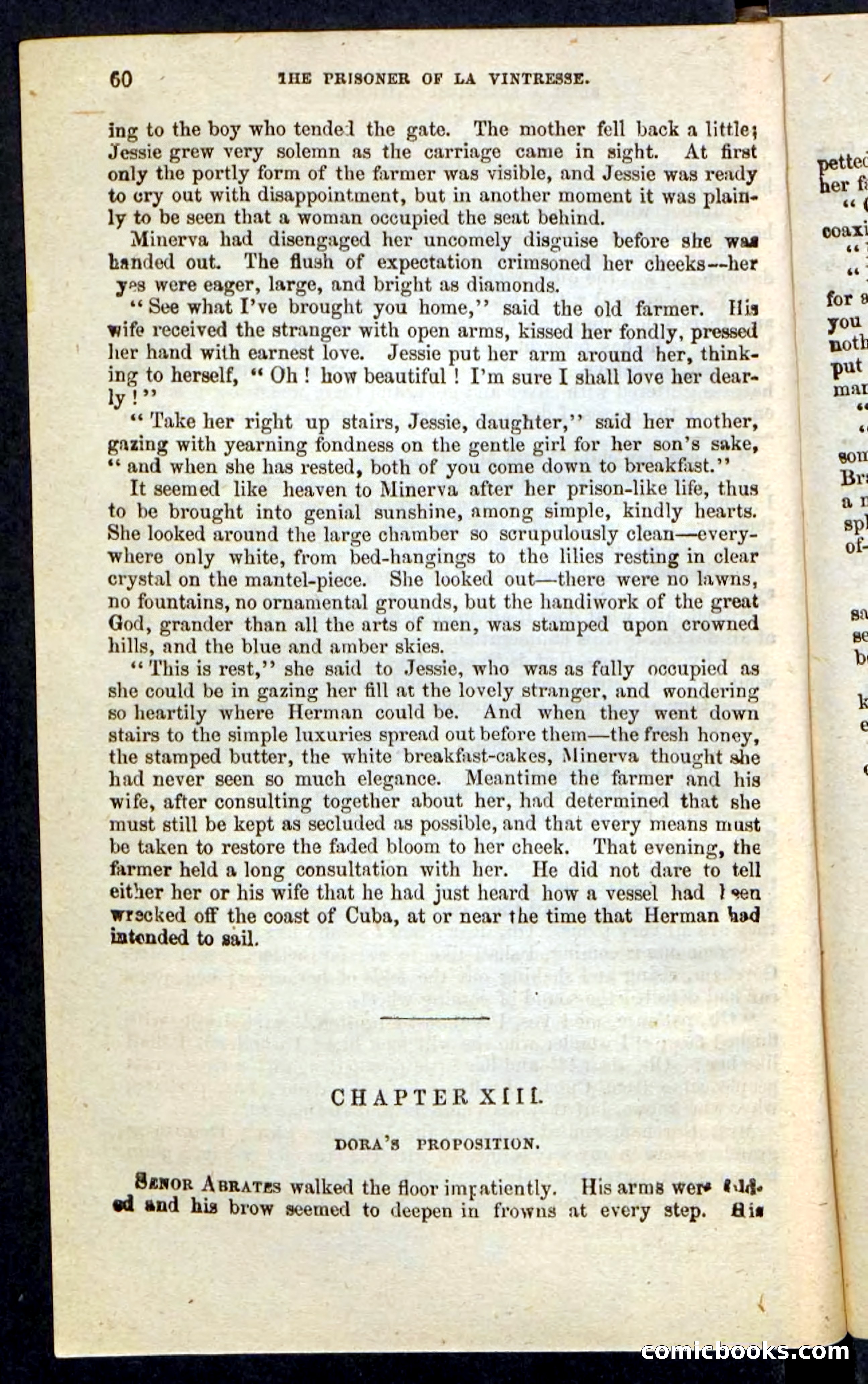 Beadle's Pocket Novels No. 215: Prisoner of La Vintresse — page 56 of 100