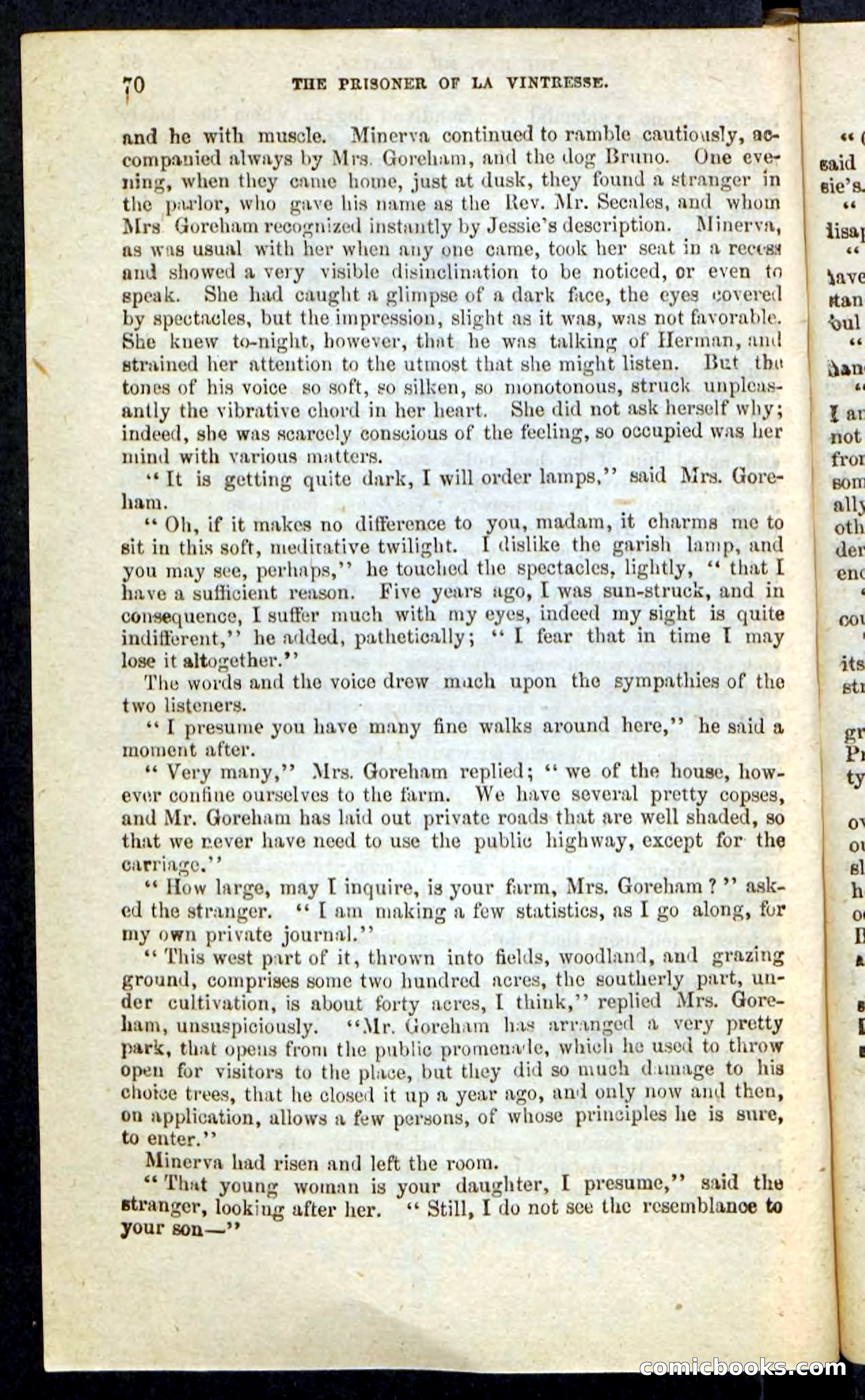 Beadle's Pocket Novels No. 215: Prisoner of La Vintresse — page 66 of 100