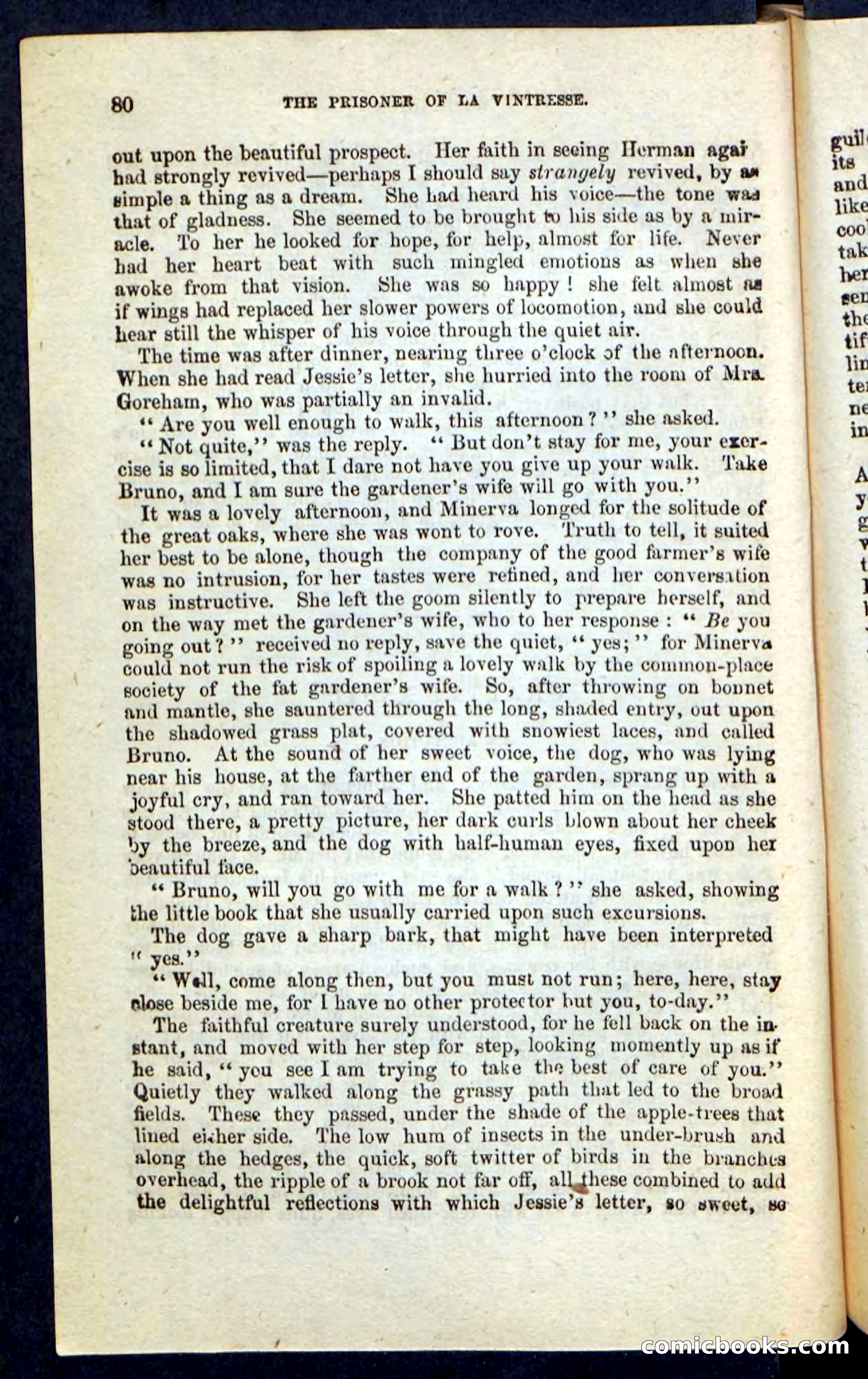 Beadle's Pocket Novels No. 215: Prisoner of La Vintresse — page 76 of 100