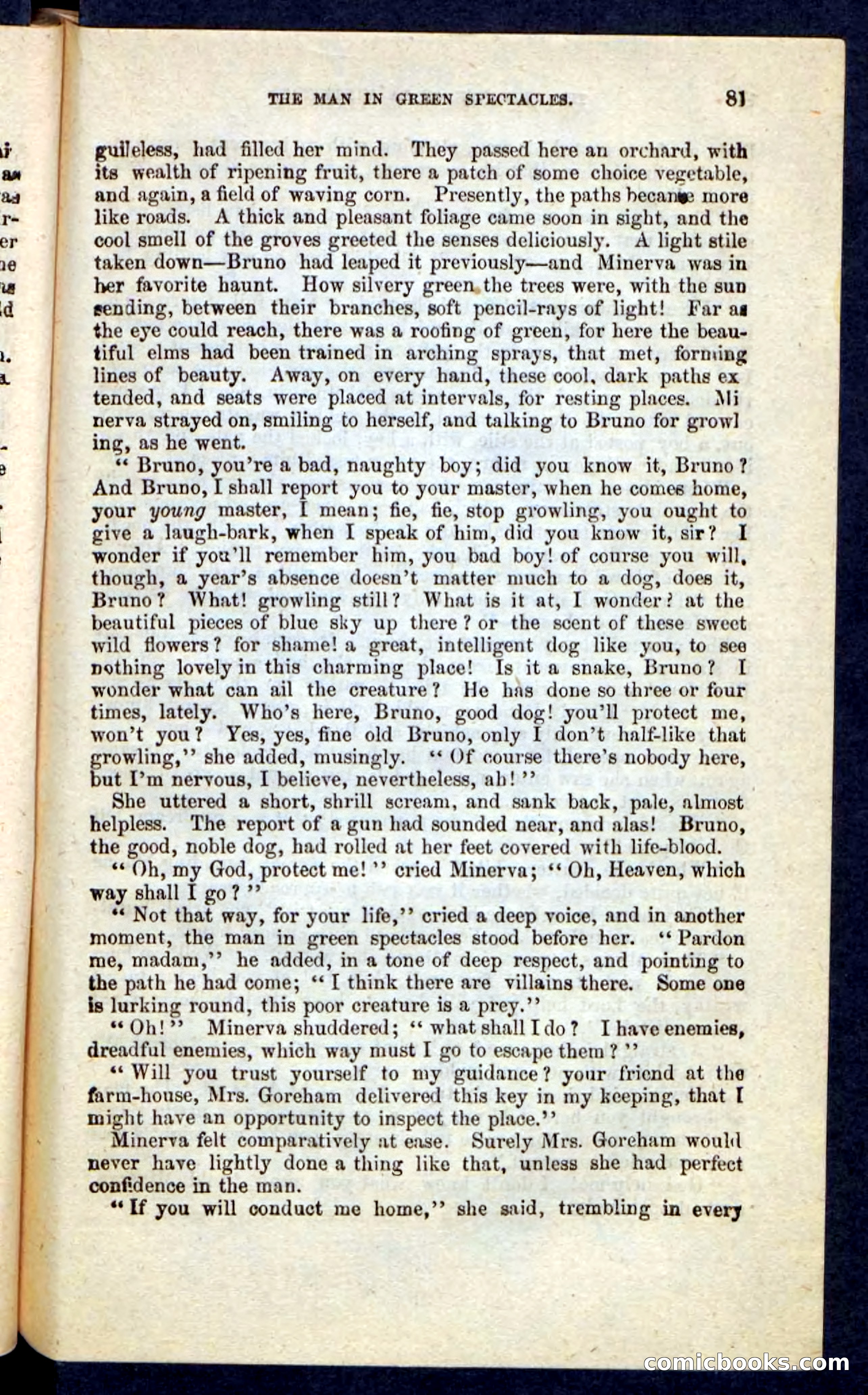 Beadle's Pocket Novels No. 215: Prisoner of La Vintresse — page 77 of 100