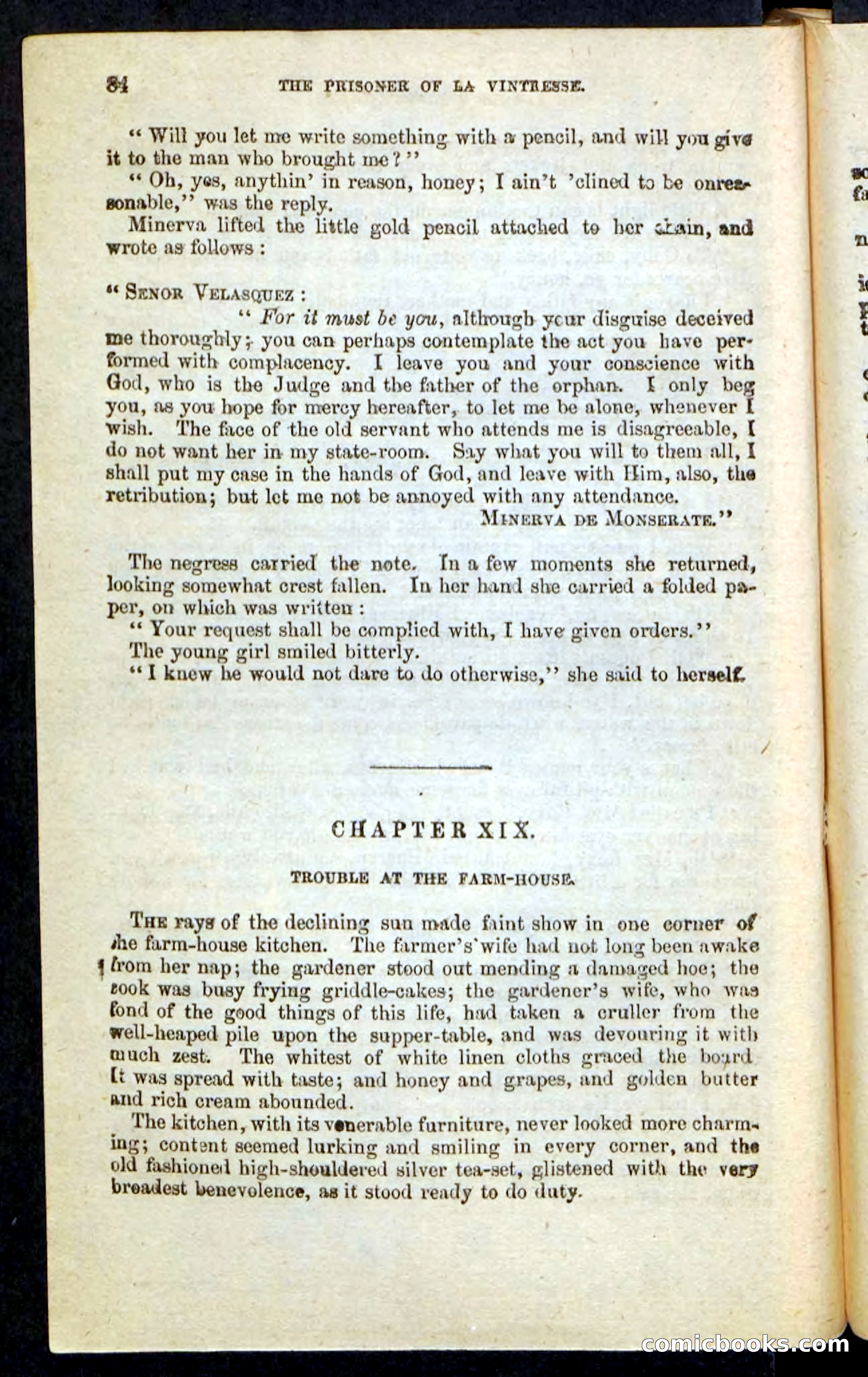 Beadle's Pocket Novels No. 215: Prisoner of La Vintresse — page 80 of 100