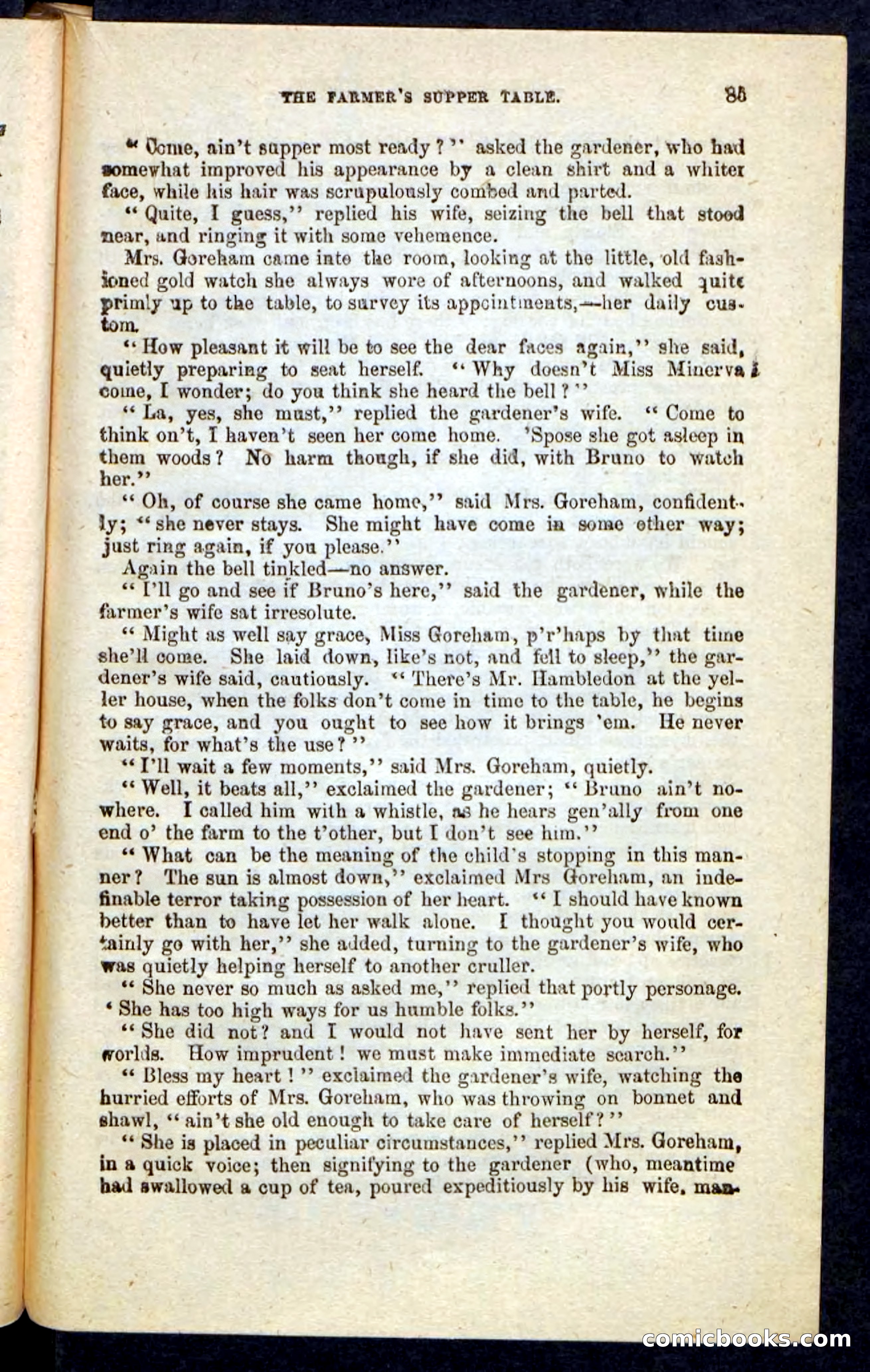 Beadle's Pocket Novels No. 215: Prisoner of La Vintresse — page 81 of 100