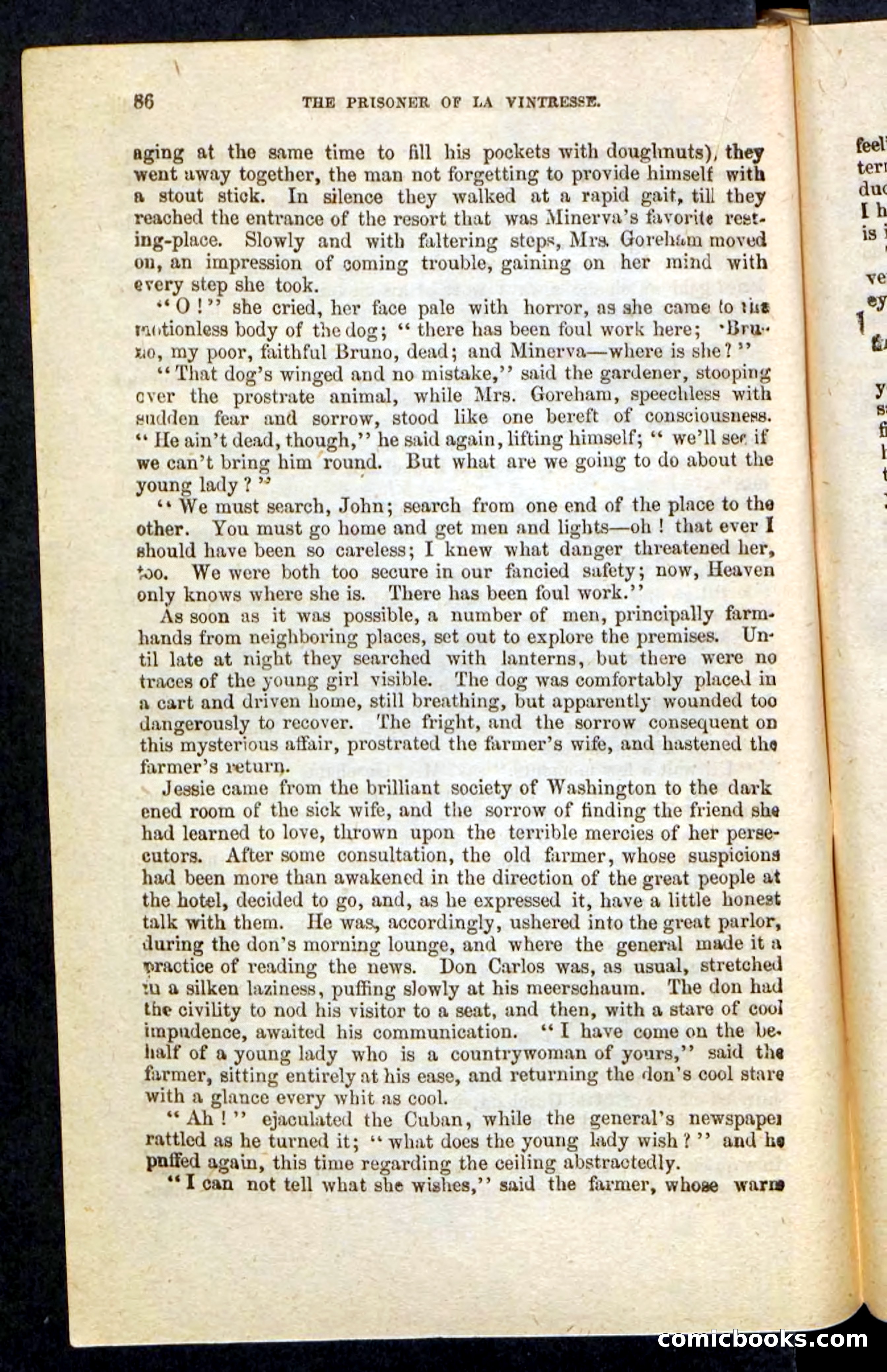 Beadle's Pocket Novels No. 215: Prisoner of La Vintresse — page 82 of 100