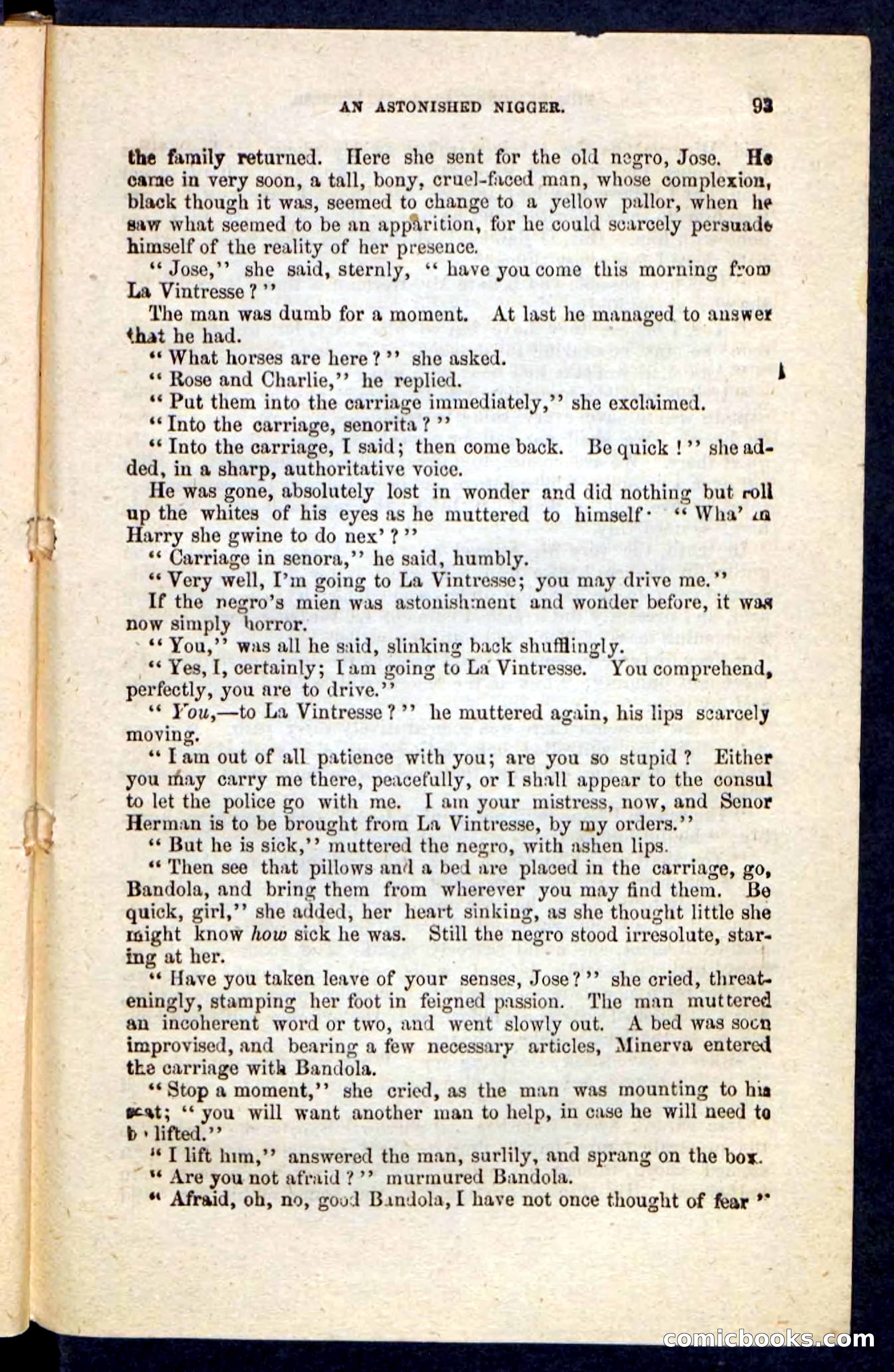 Beadle's Pocket Novels No. 215: Prisoner of La Vintresse — page 89 of 100