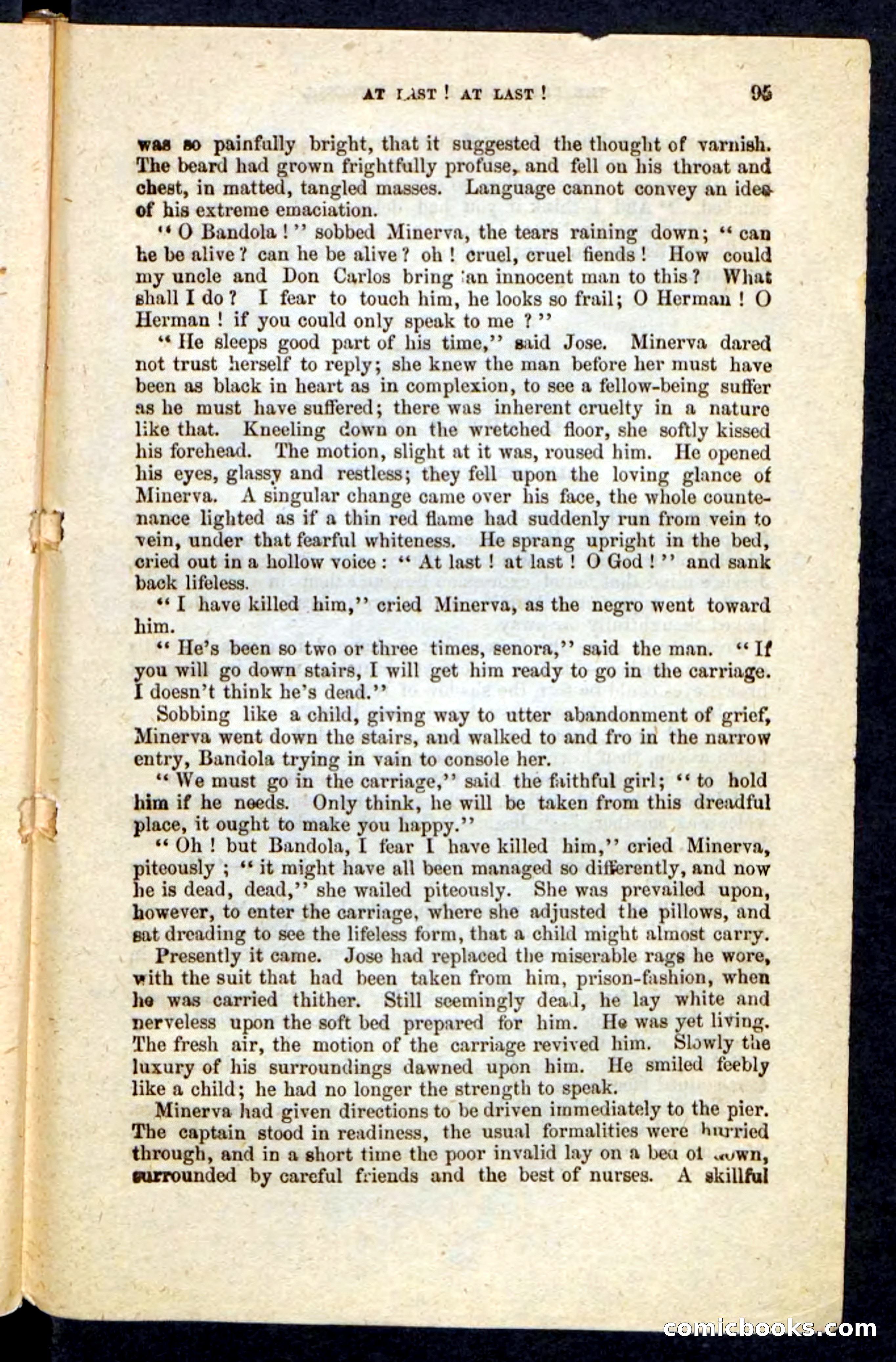 Beadle's Pocket Novels No. 215: Prisoner of La Vintresse — page 91 of 100