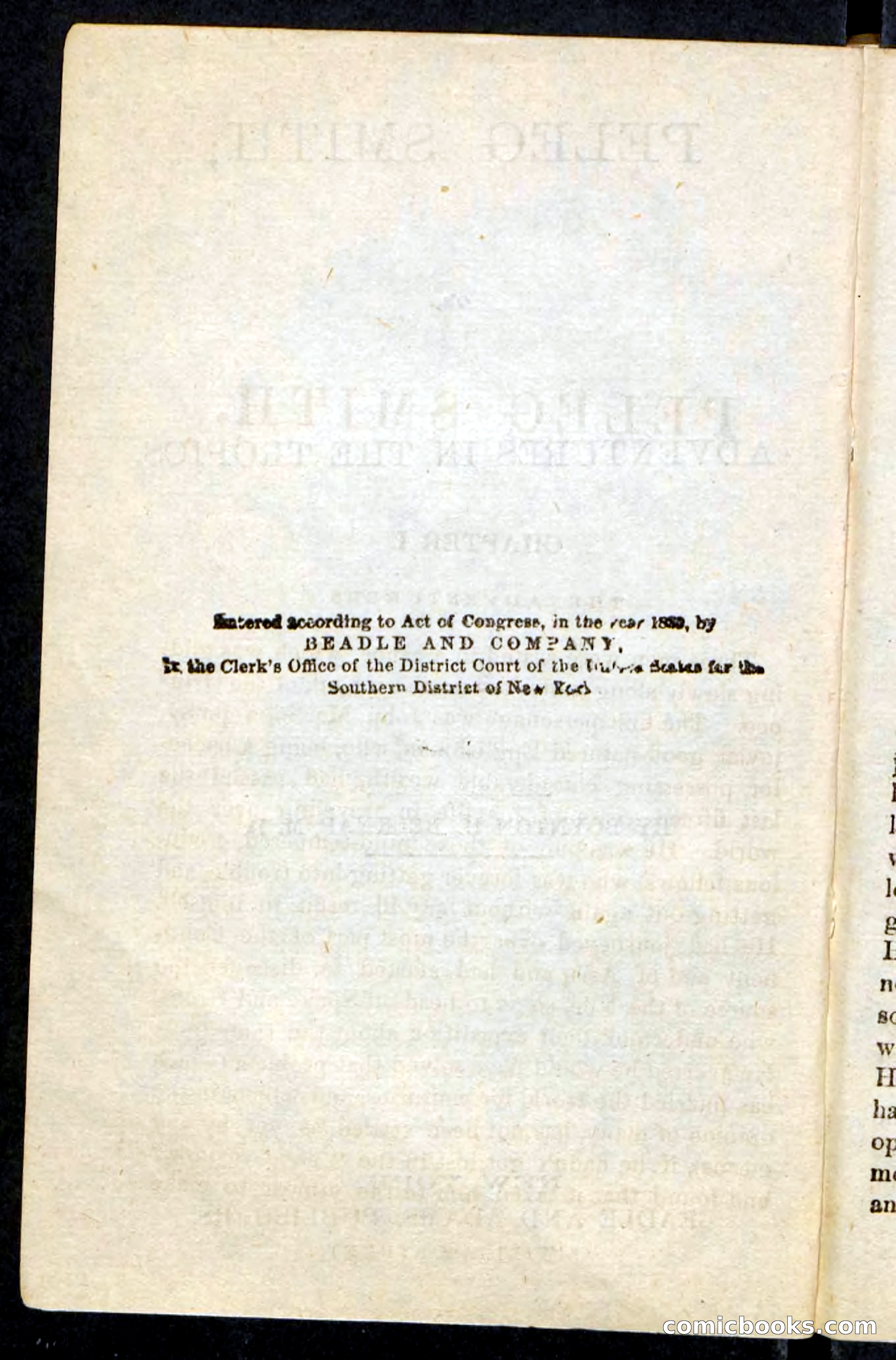 Beadle's Pocket Novels No. 216 — page 4 of 100