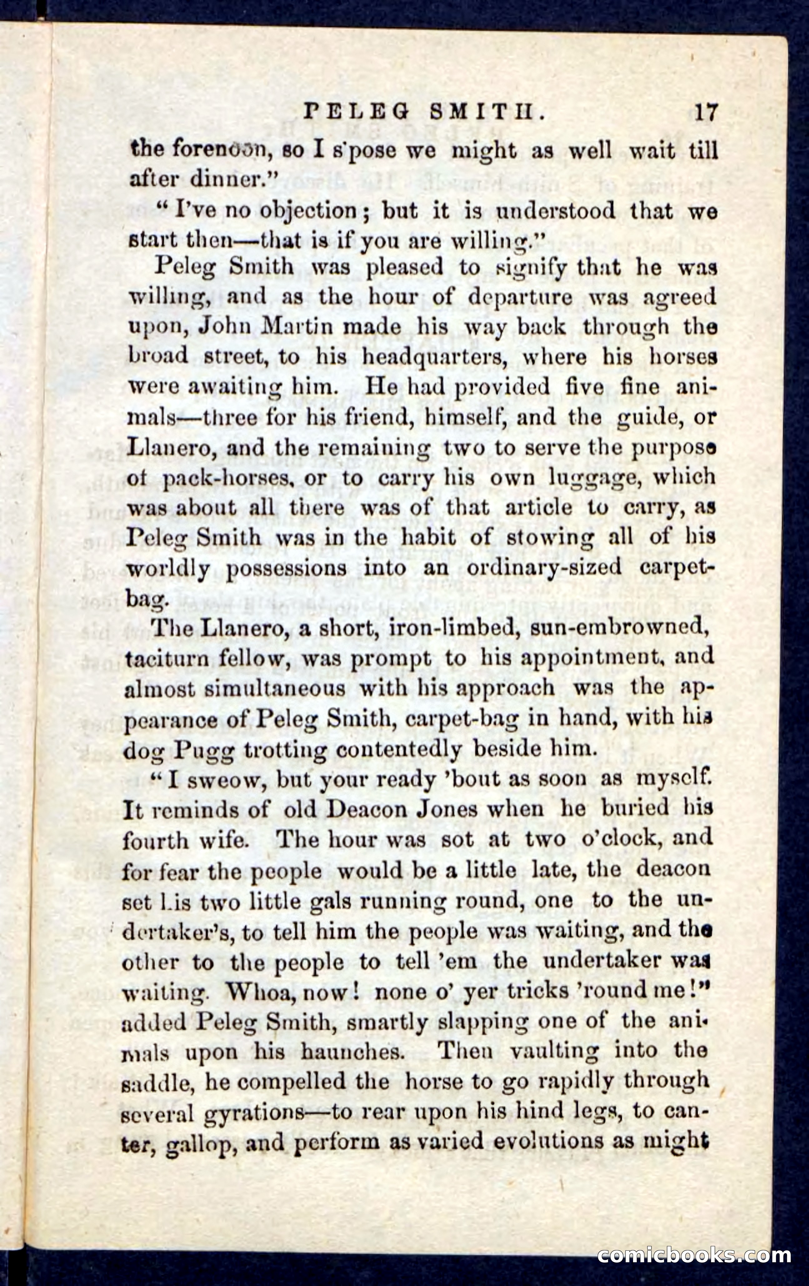 Beadle's Pocket Novels No. 216 — page 13 of 100