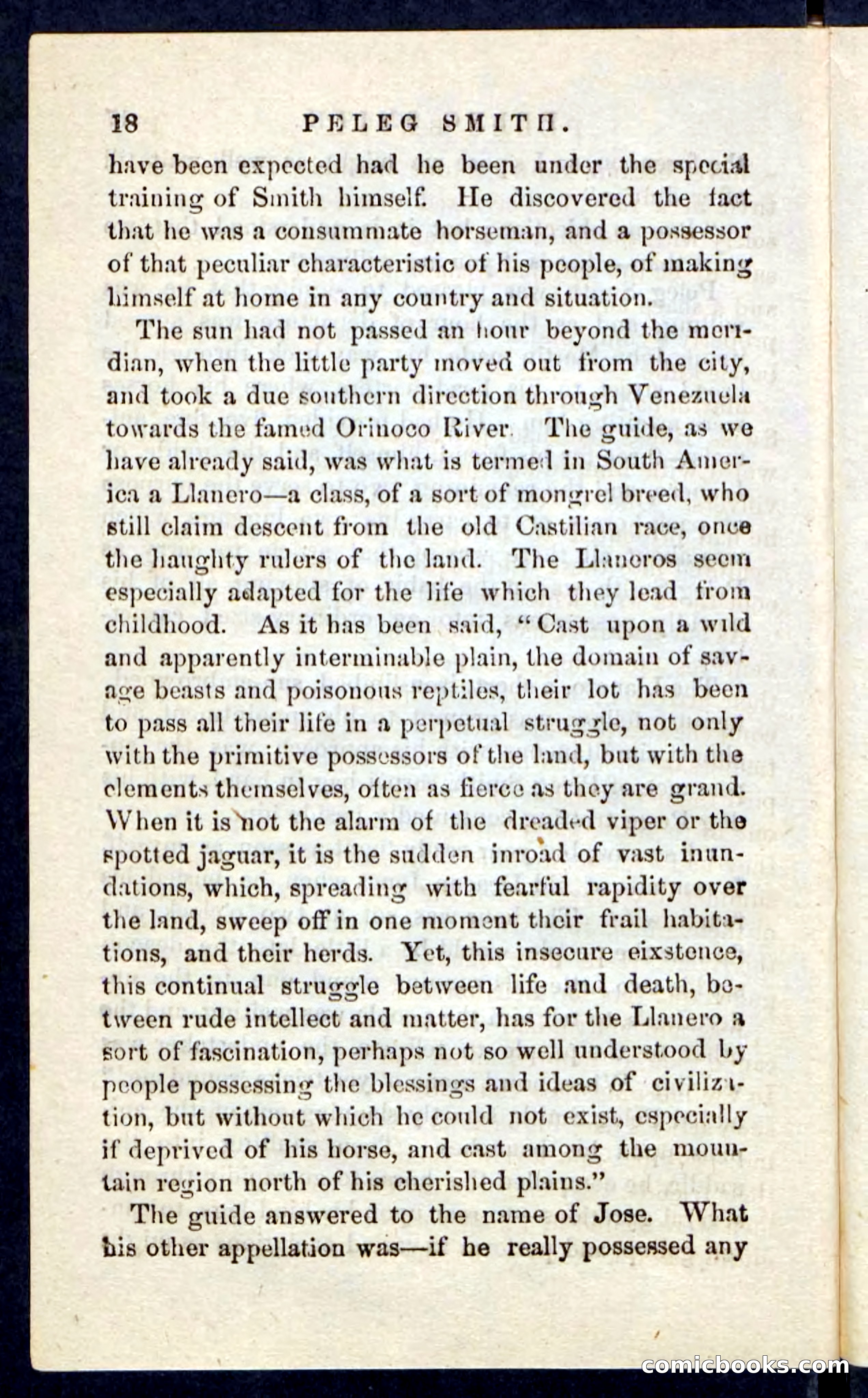 Beadle's Pocket Novels No. 216 — page 14 of 100