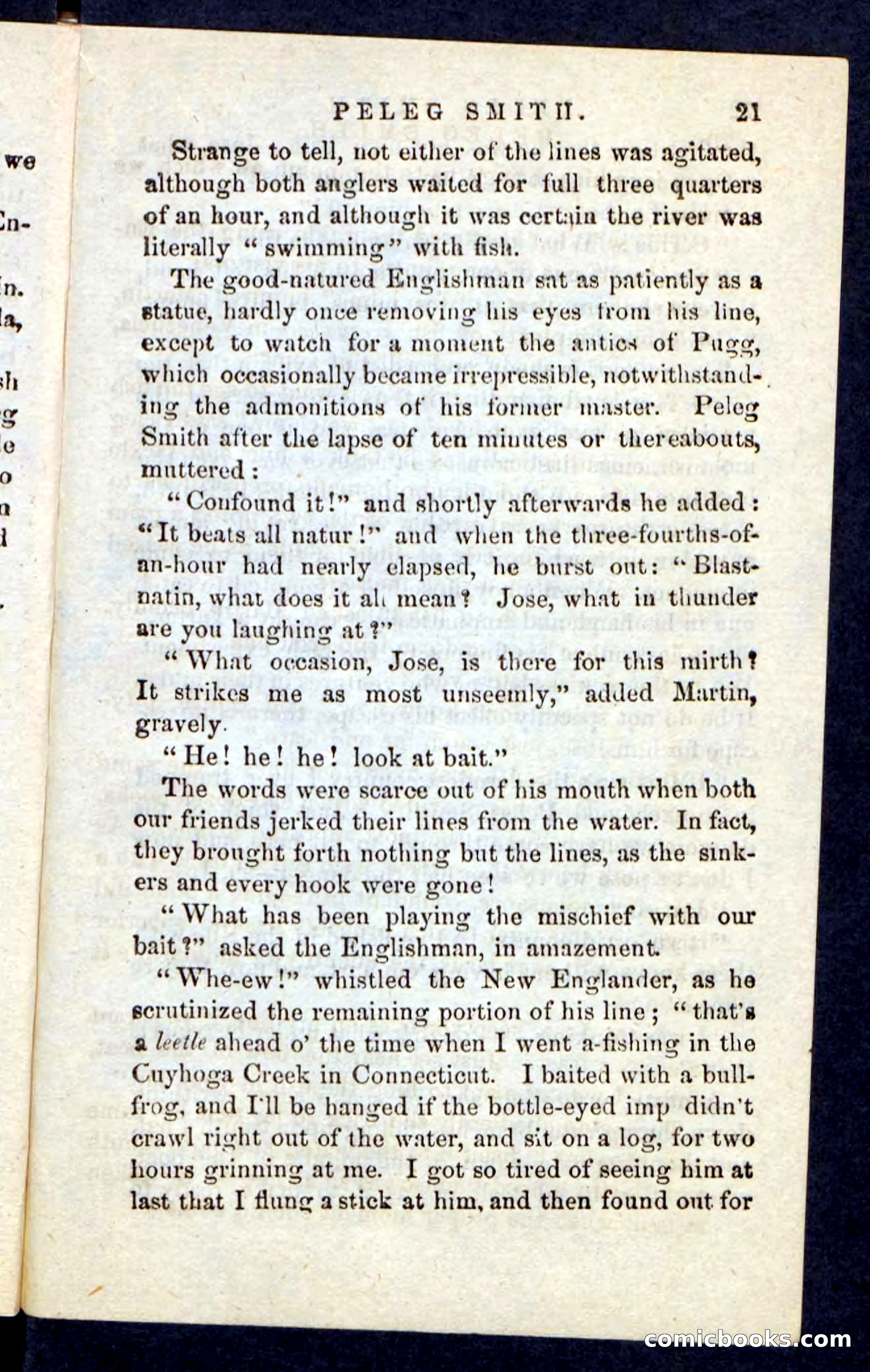 Beadle's Pocket Novels No. 216 — page 17 of 100