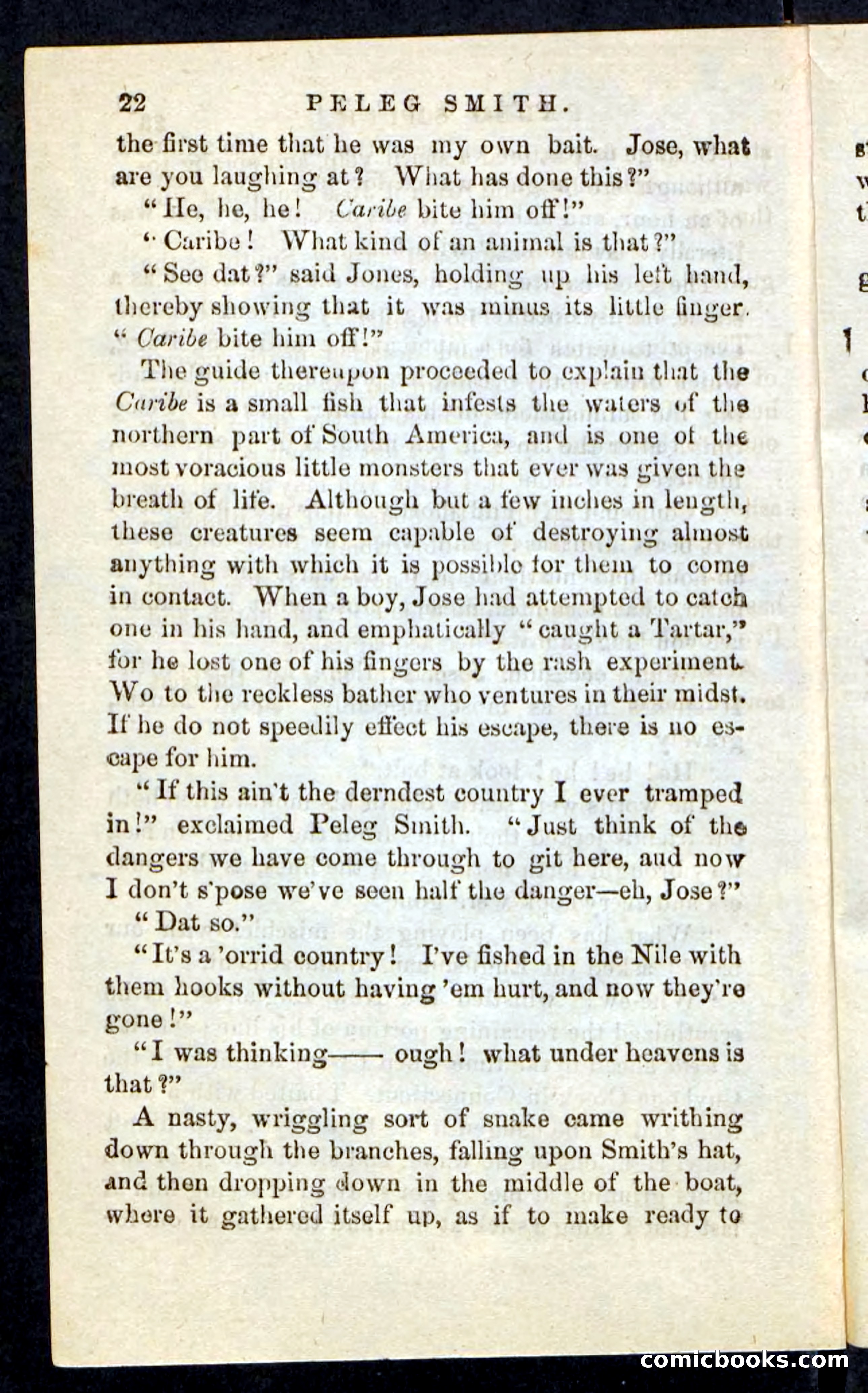 Beadle's Pocket Novels No. 216 — page 18 of 100