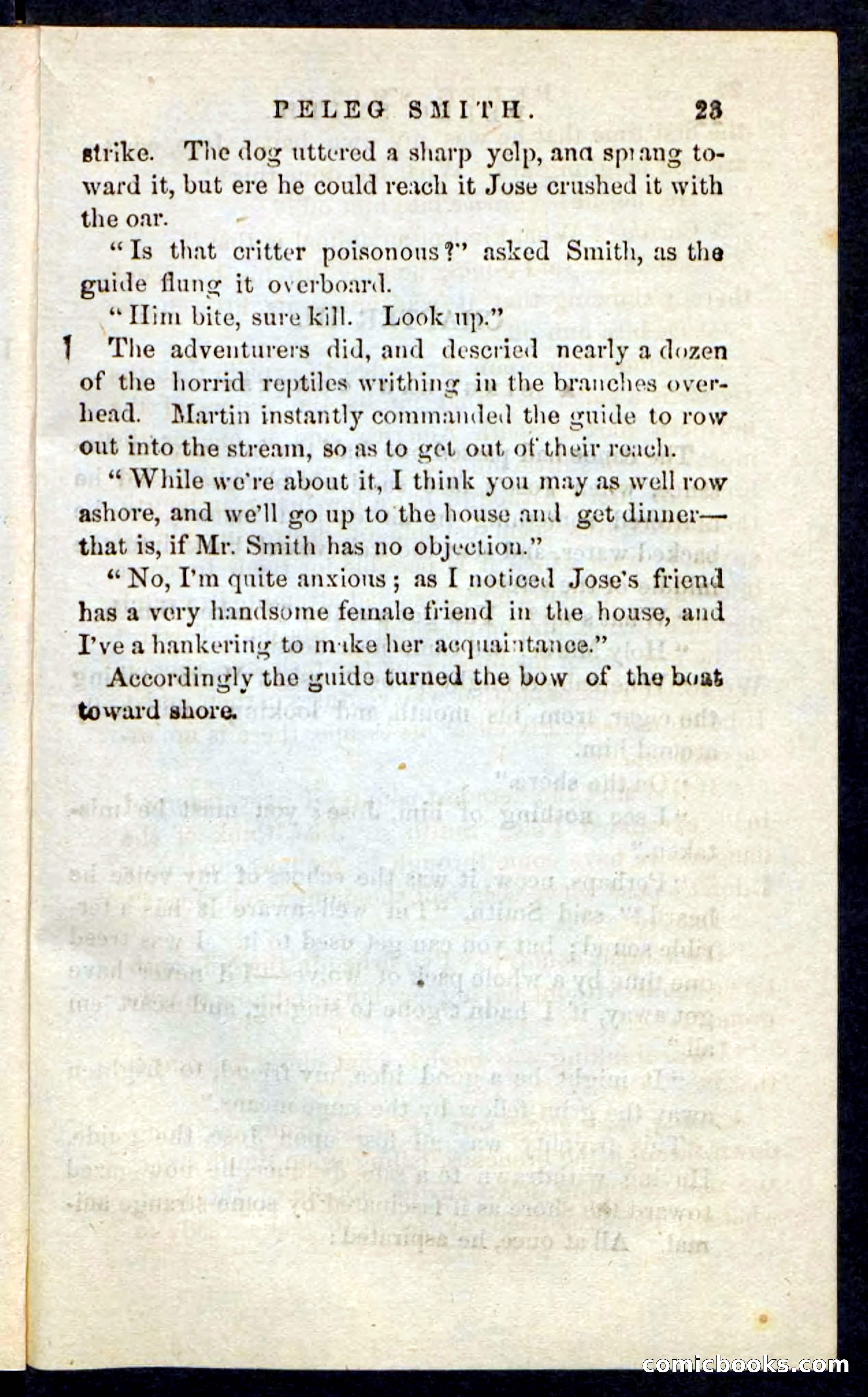 Beadle's Pocket Novels No. 216 — page 19 of 100