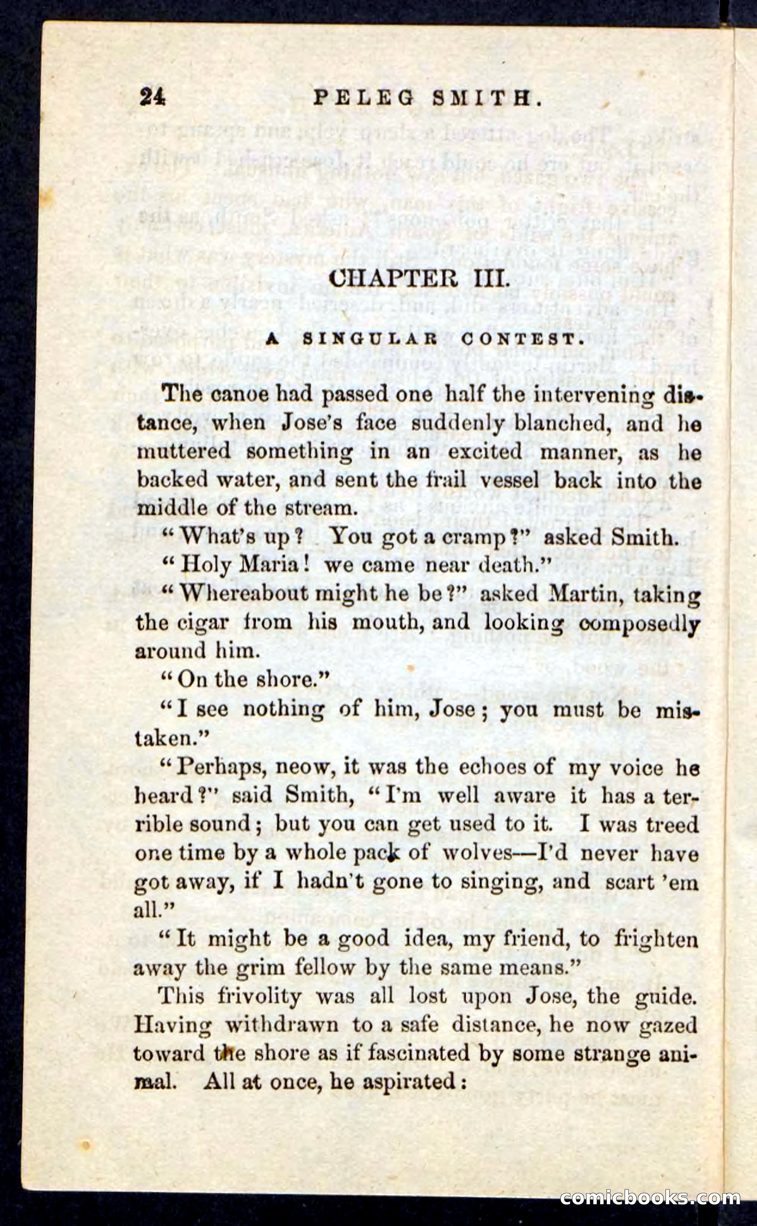 Beadle's Pocket Novels No. 216 — page 20 of 100