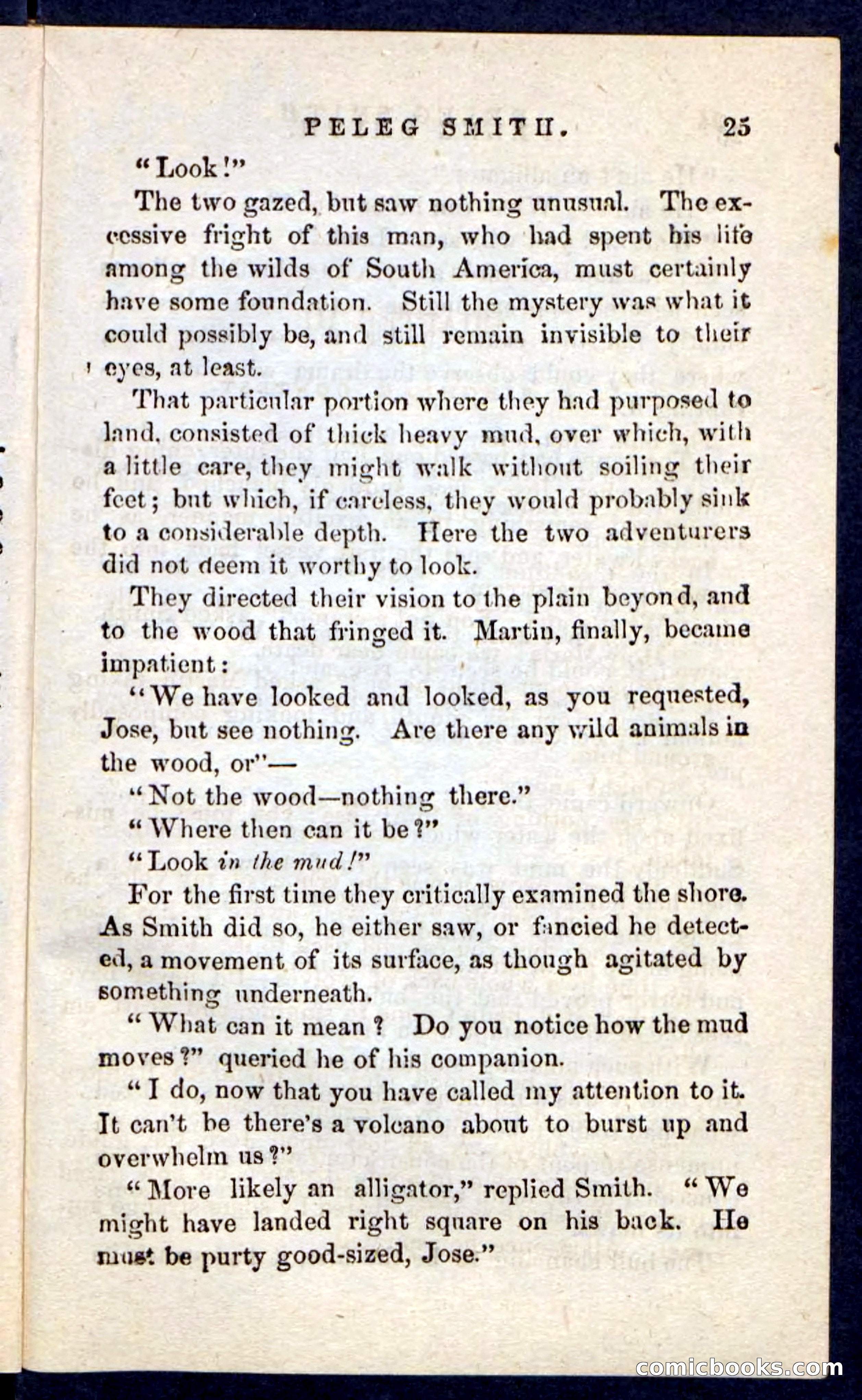 Beadle's Pocket Novels No. 216 — page 21 of 100