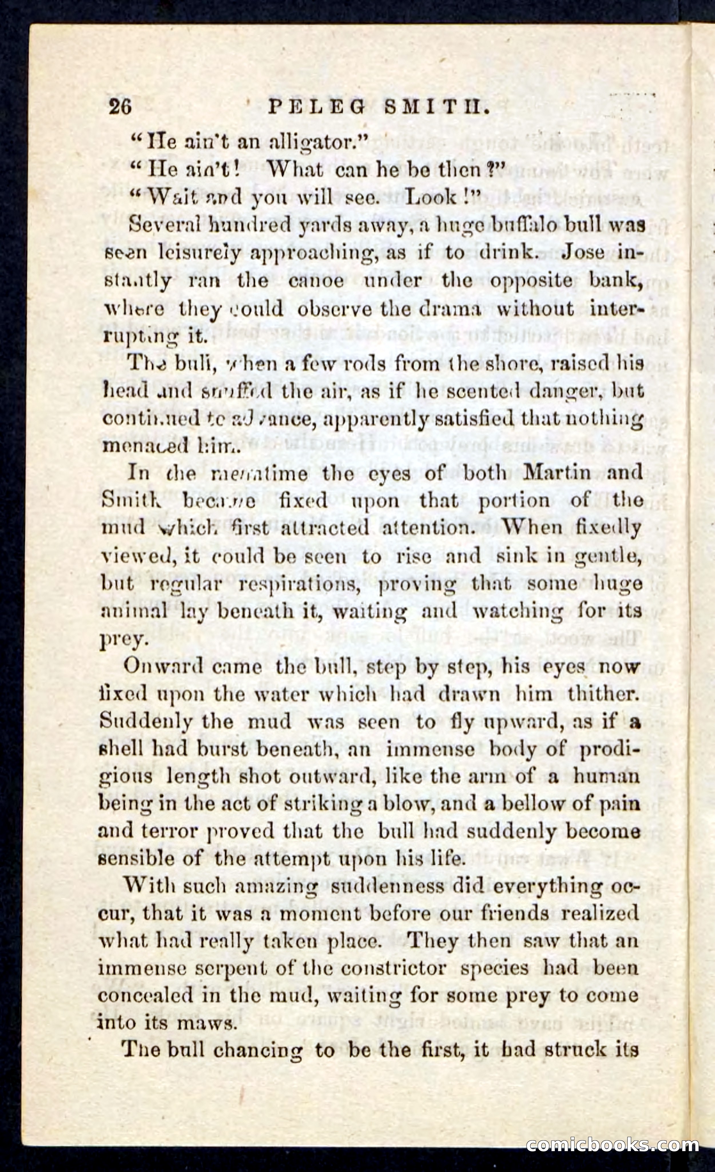 Beadle's Pocket Novels No. 216 — page 22 of 100