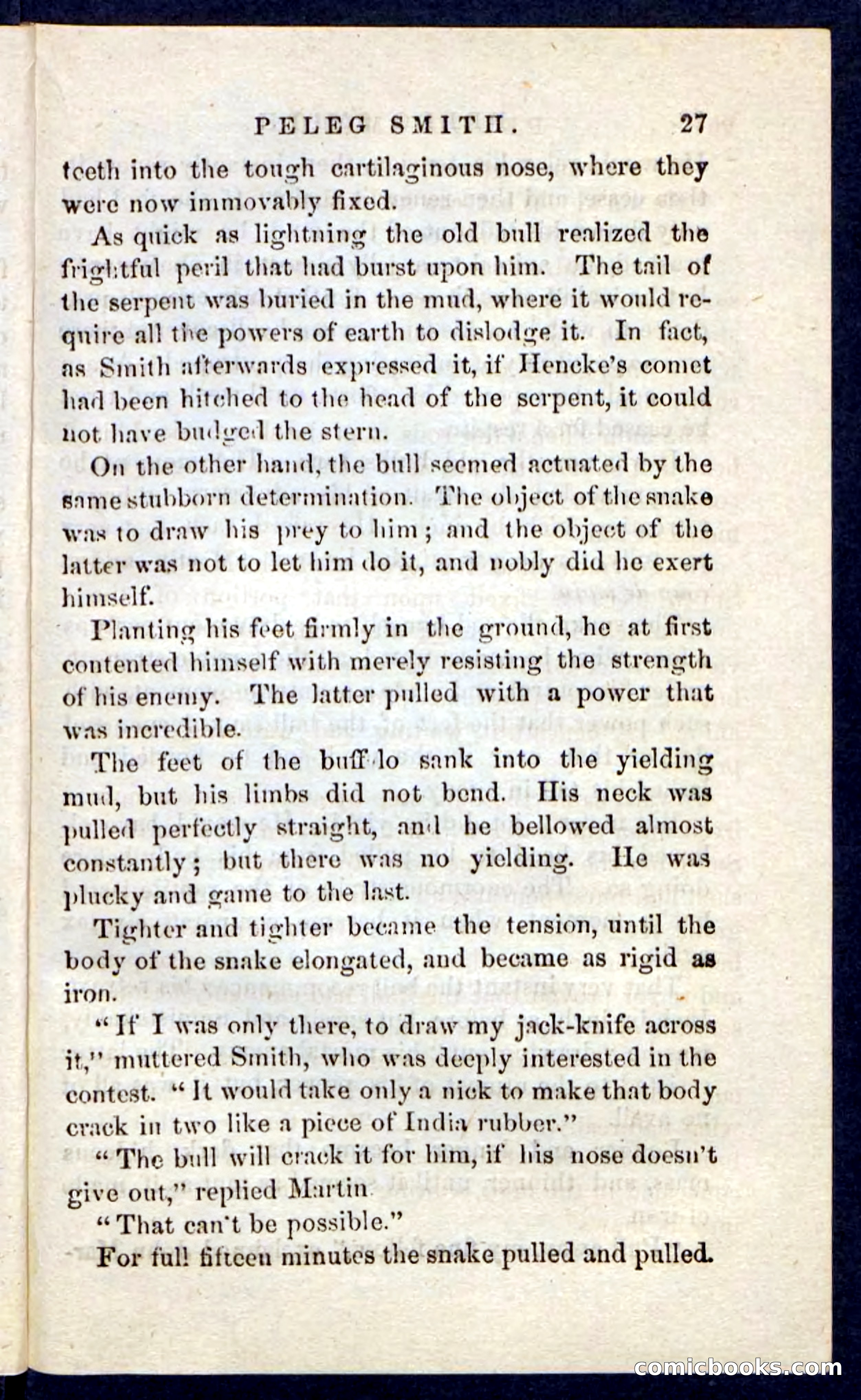 Beadle's Pocket Novels No. 216 — page 23 of 100