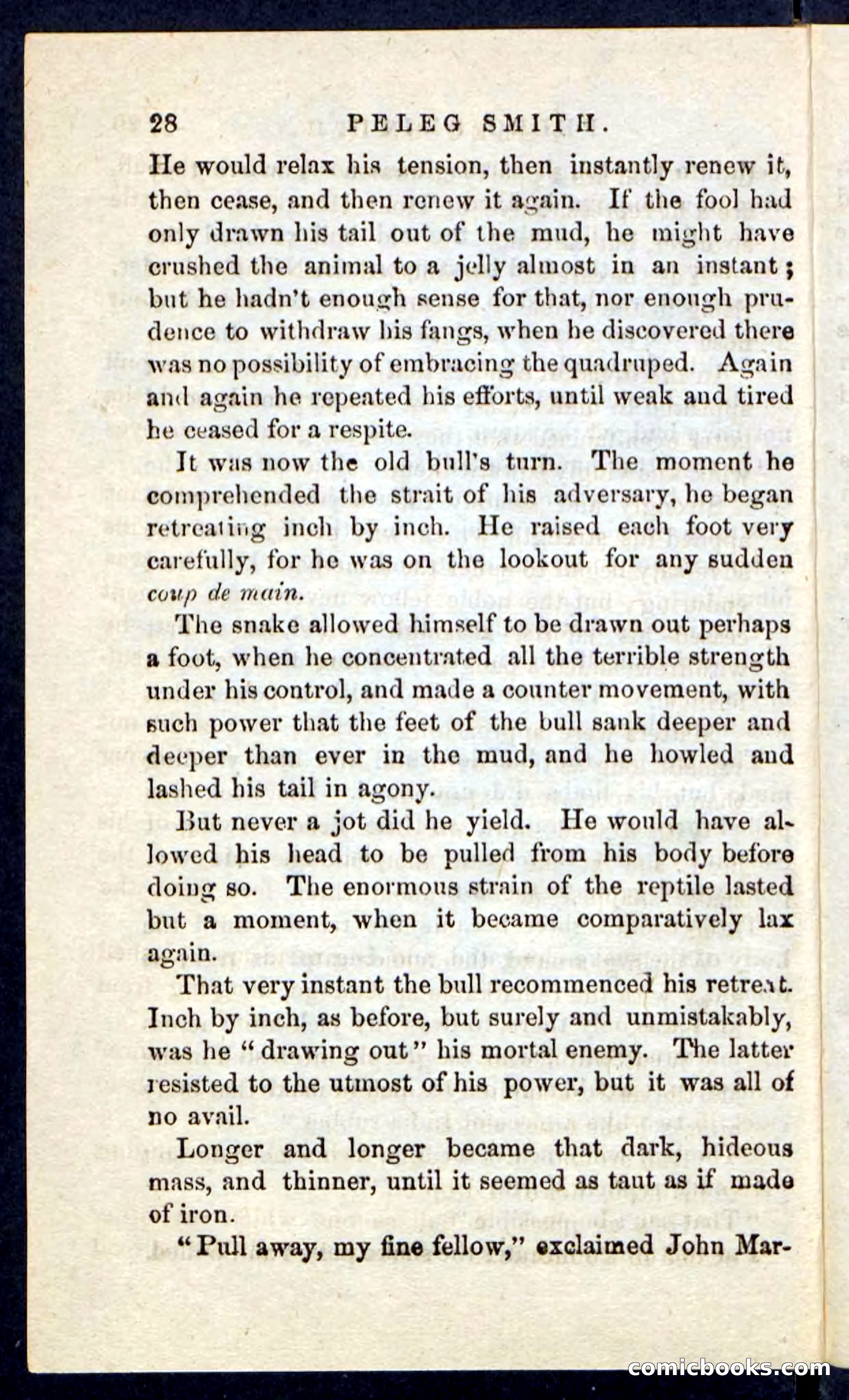 Beadle's Pocket Novels No. 216 — page 24 of 100