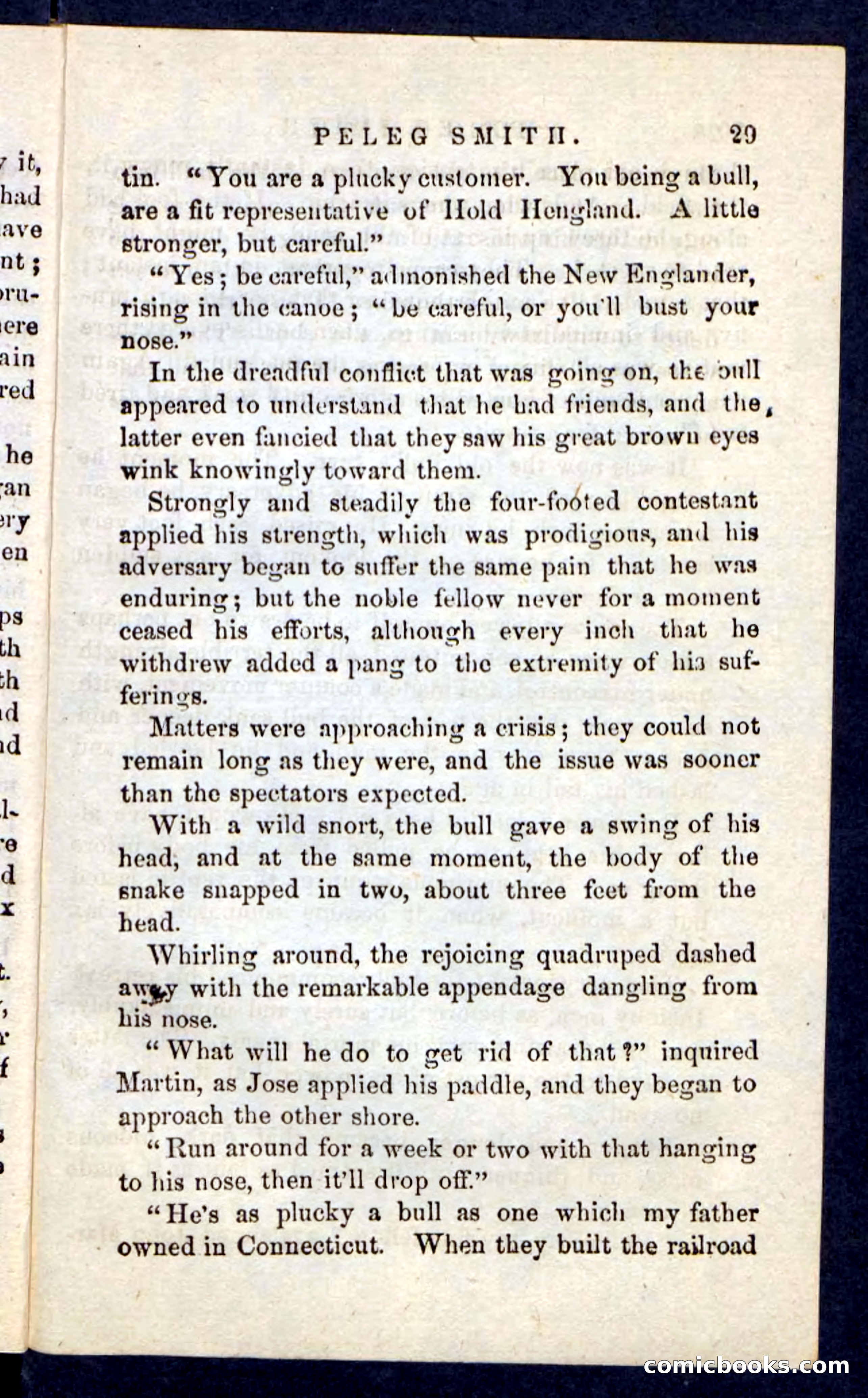 Beadle's Pocket Novels No. 216 — page 25 of 100