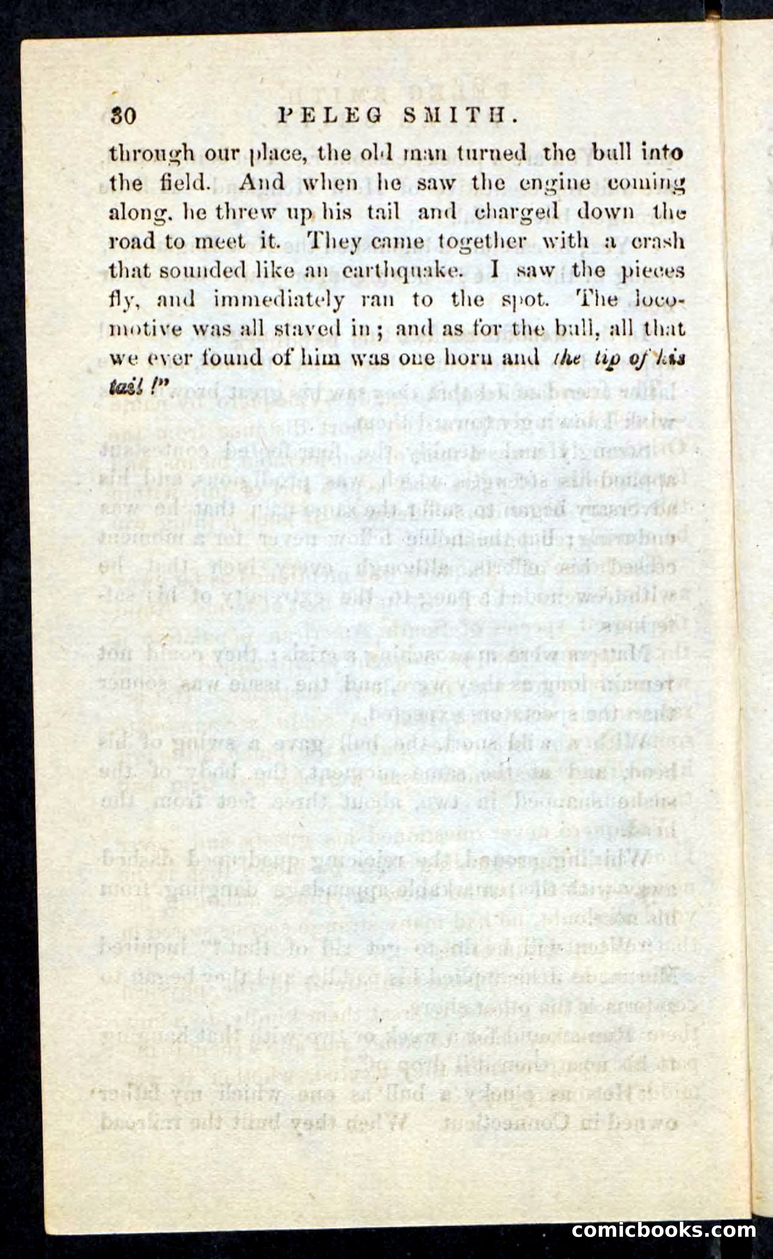 Beadle's Pocket Novels No. 216 — page 26 of 100