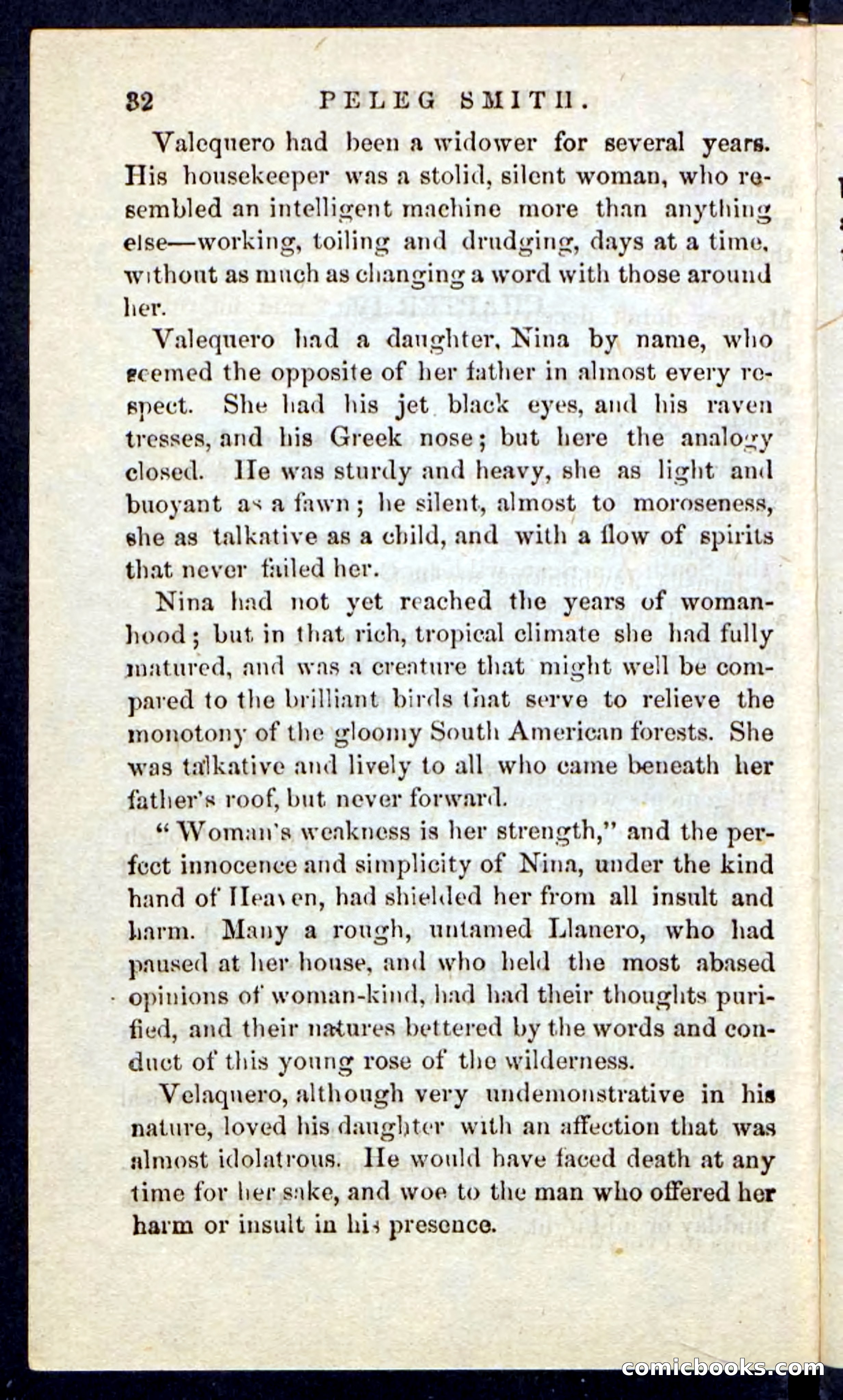 Beadle's Pocket Novels No. 216 — page 28 of 100