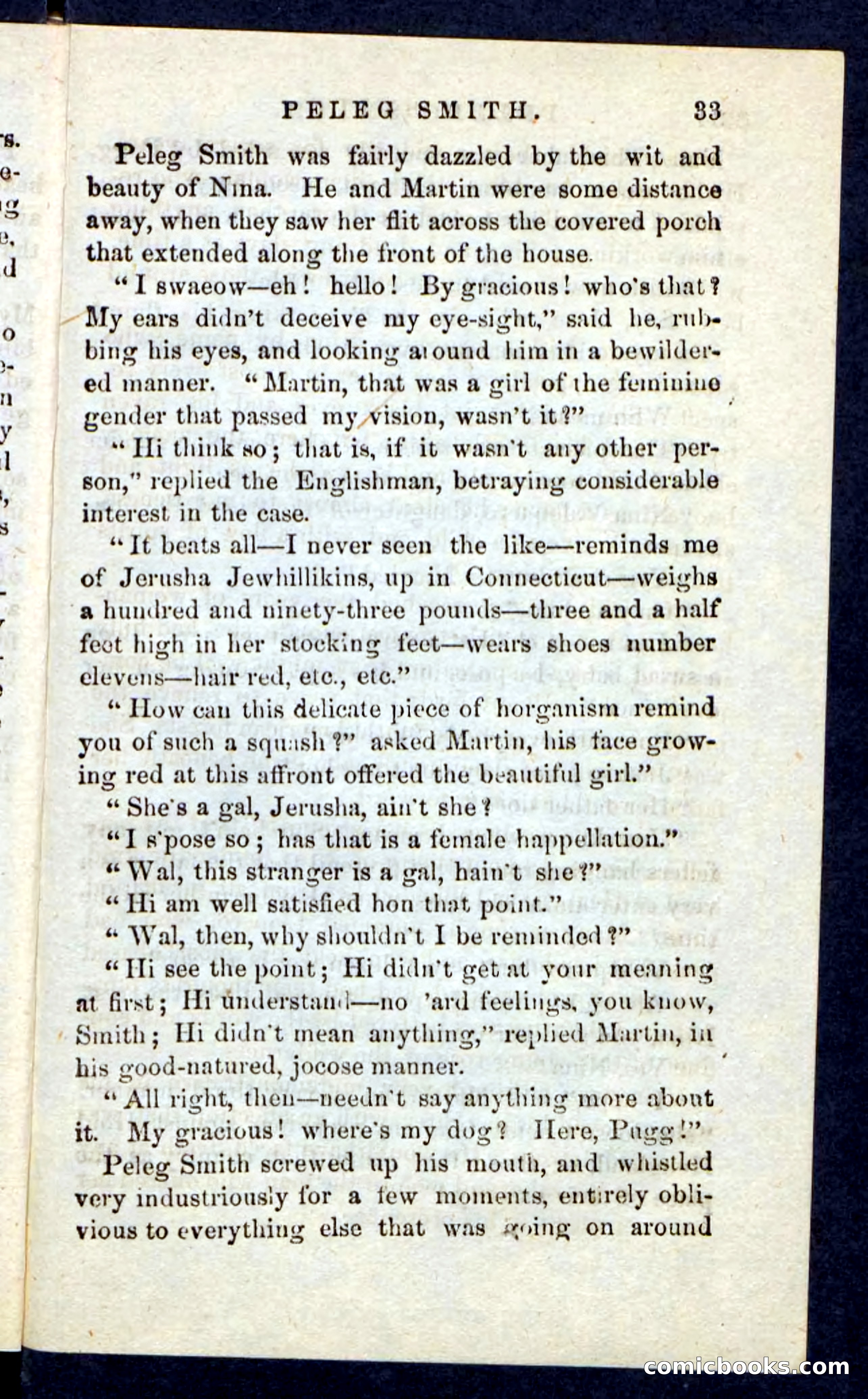 Beadle's Pocket Novels No. 216 — page 29 of 100