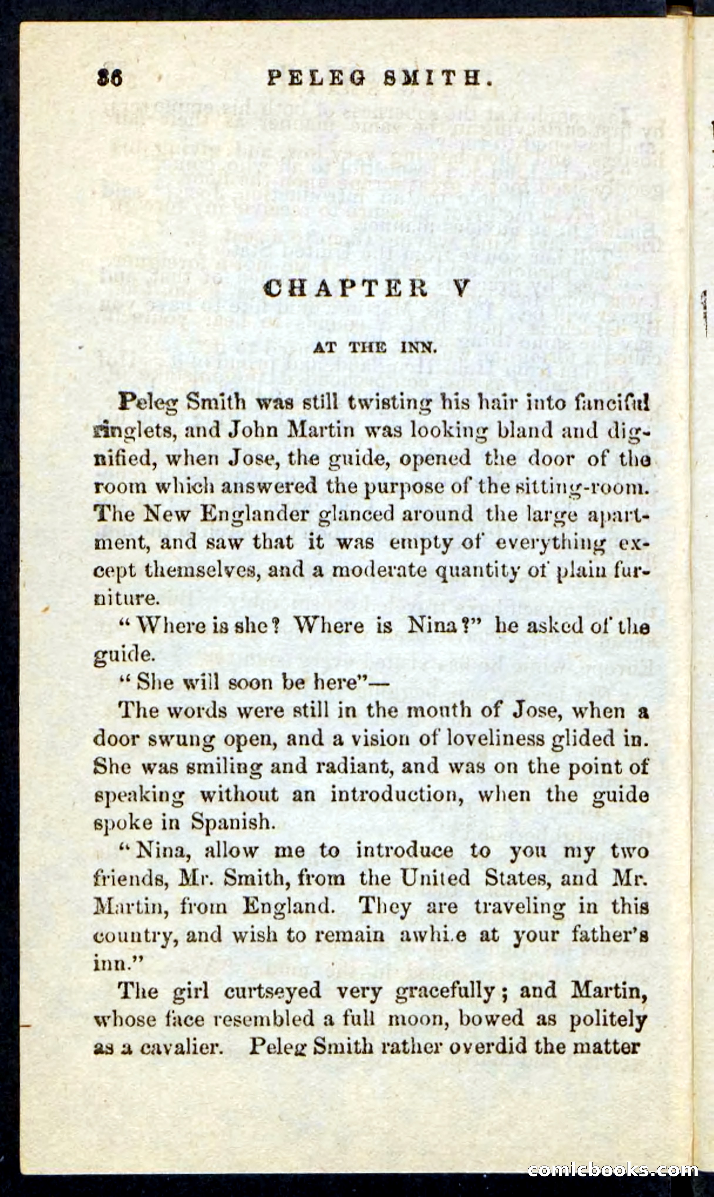 Beadle's Pocket Novels No. 216 — page 32 of 100