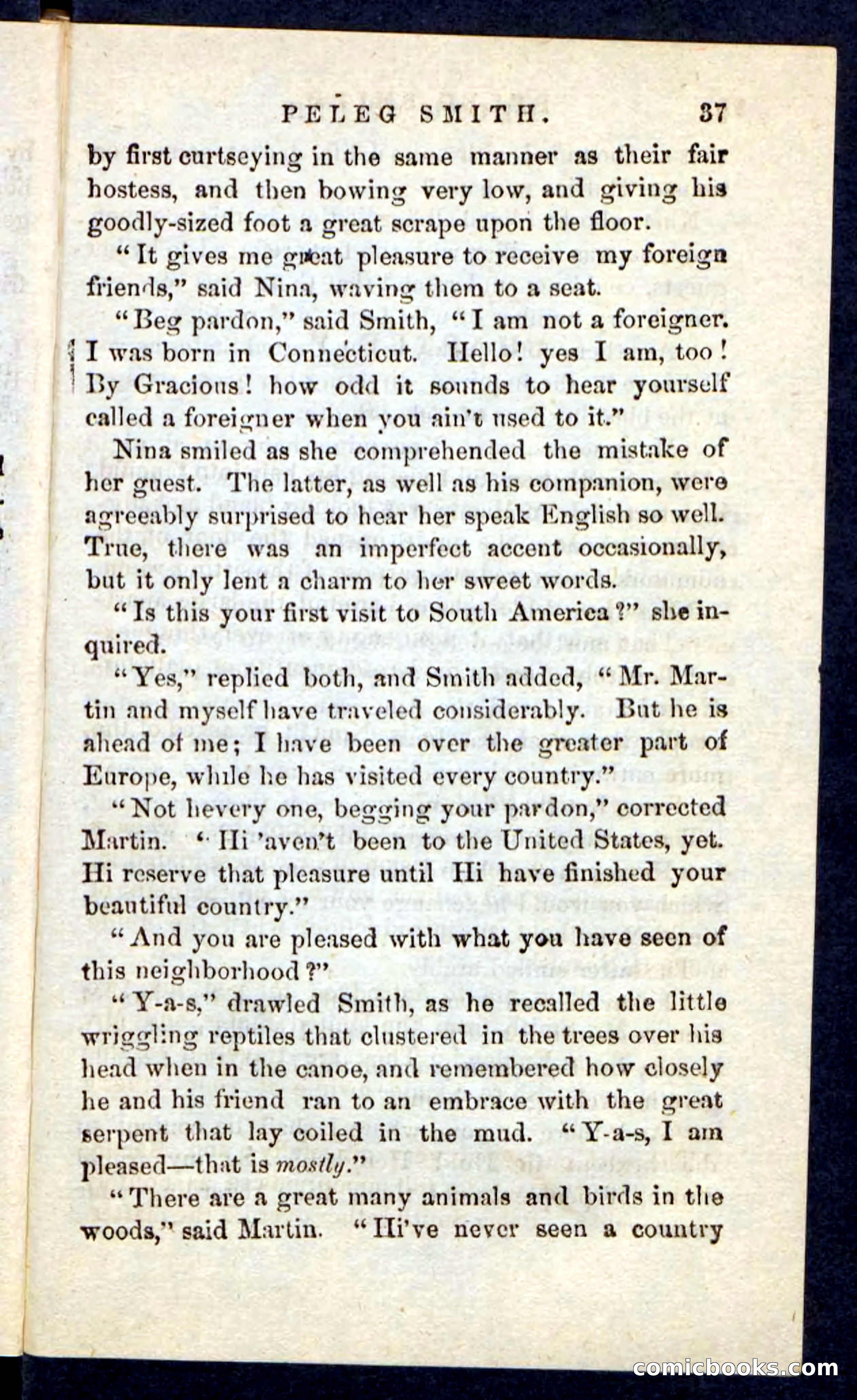 Beadle's Pocket Novels No. 216 — page 33 of 100