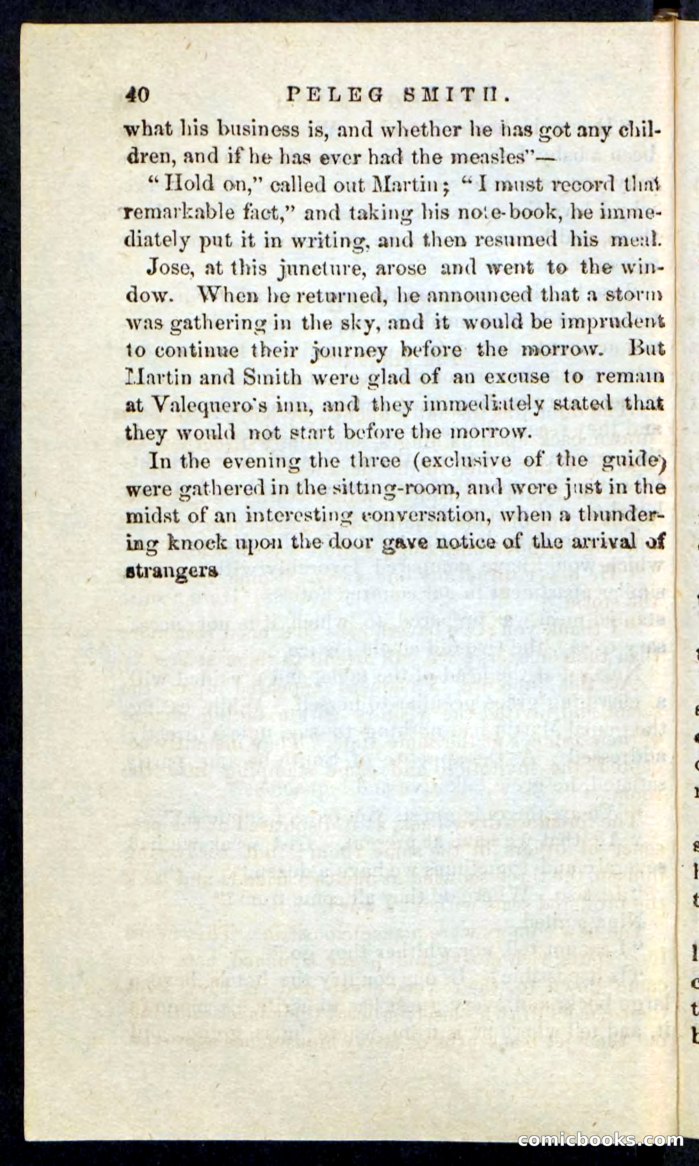 Beadle's Pocket Novels No. 216 — page 36 of 100