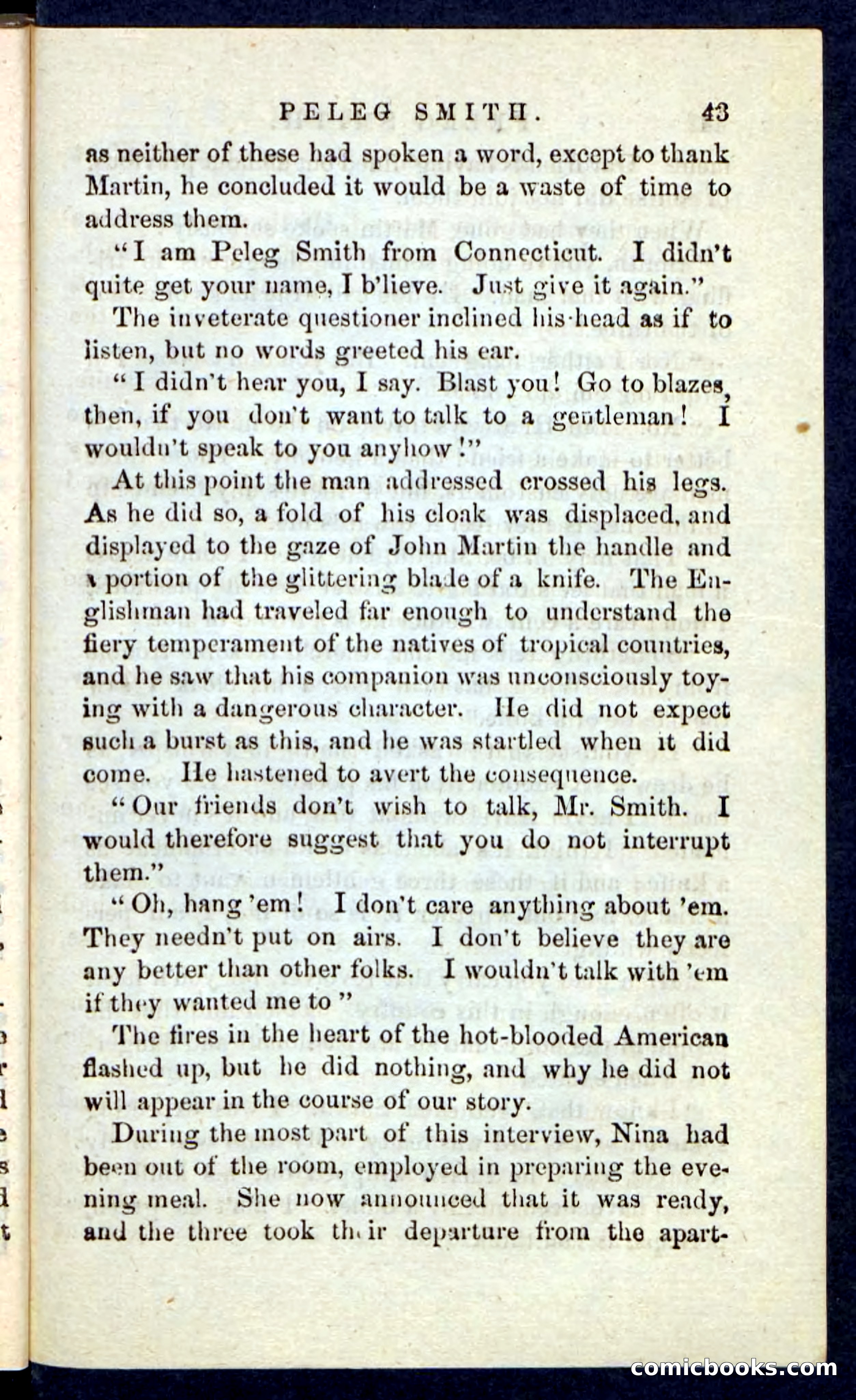 Beadle's Pocket Novels No. 216 — page 39 of 100