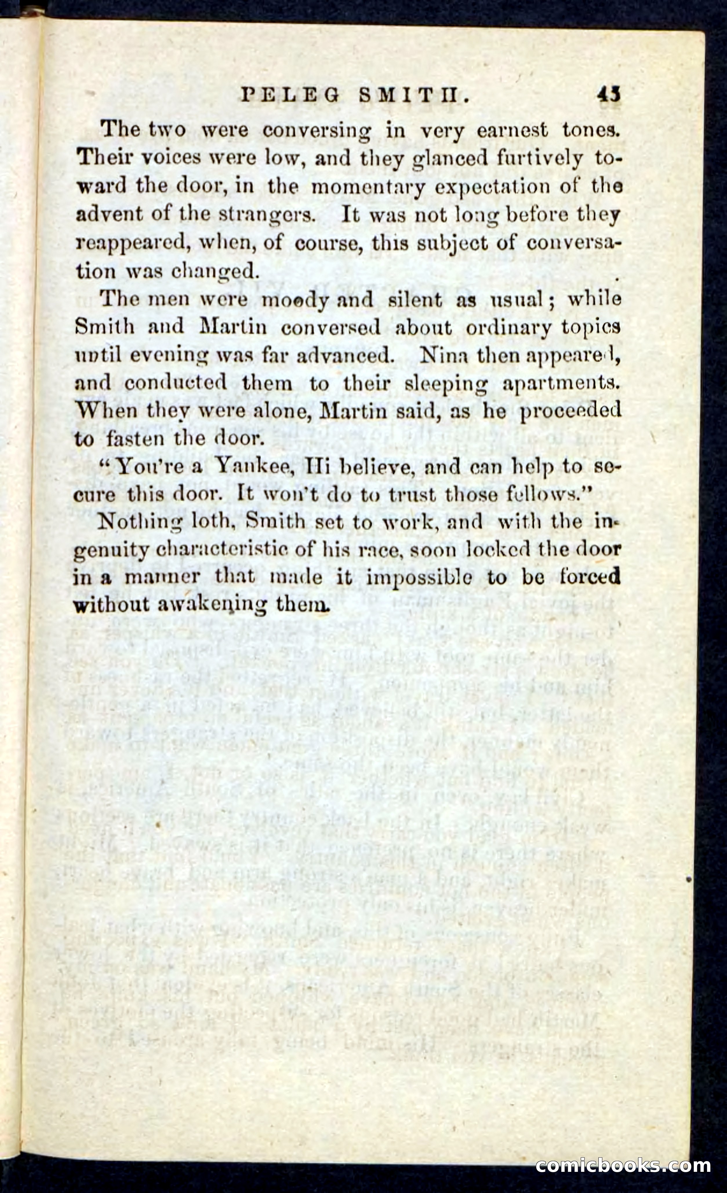 Beadle's Pocket Novels No. 216 — page 41 of 100