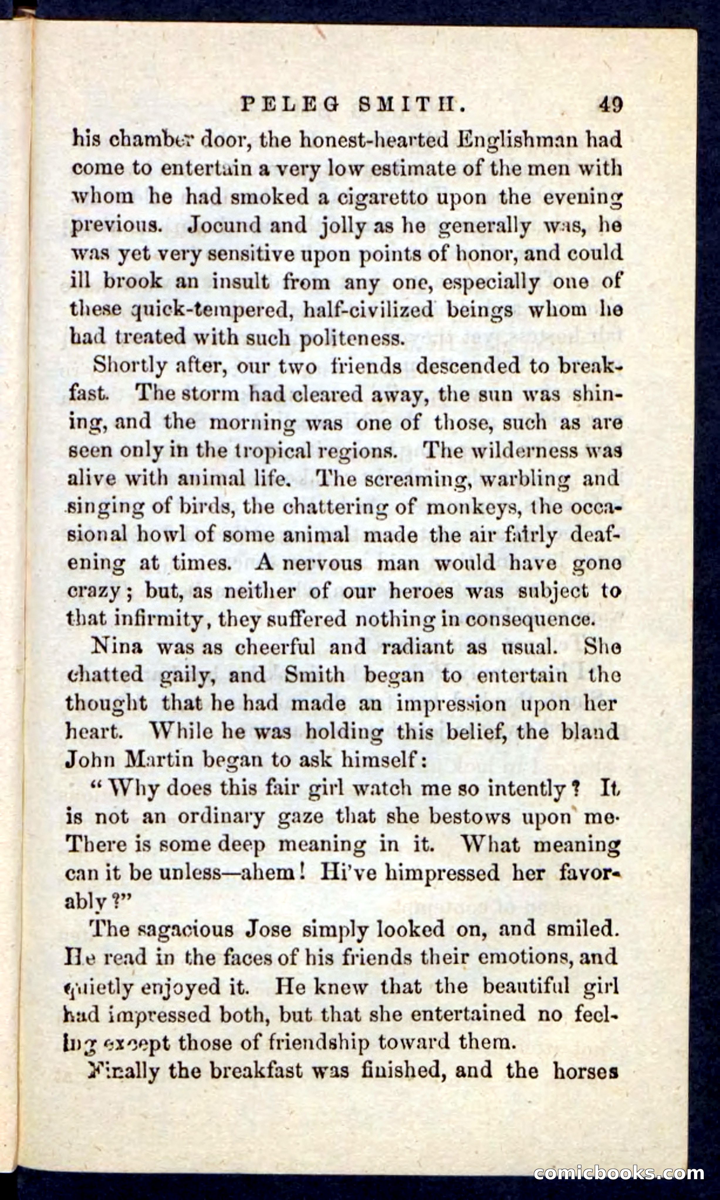 Beadle's Pocket Novels No. 216 — page 45 of 100