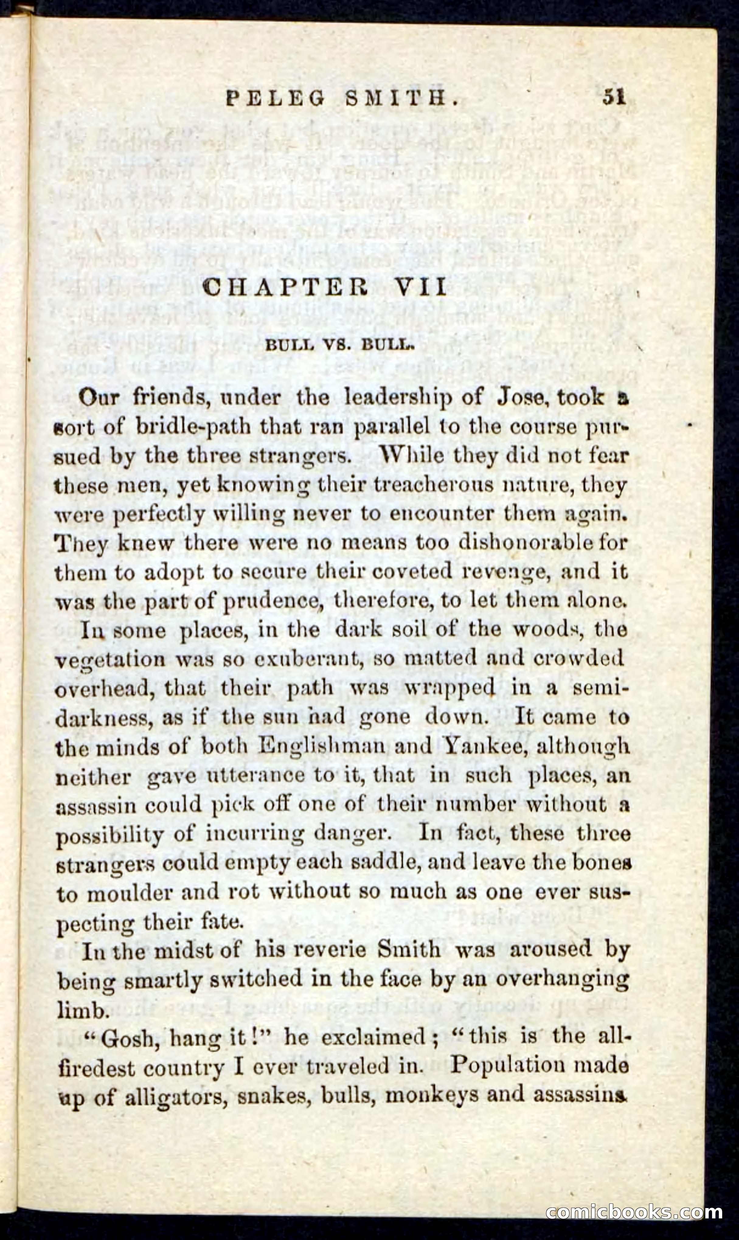 Beadle's Pocket Novels No. 216 — page 47 of 100