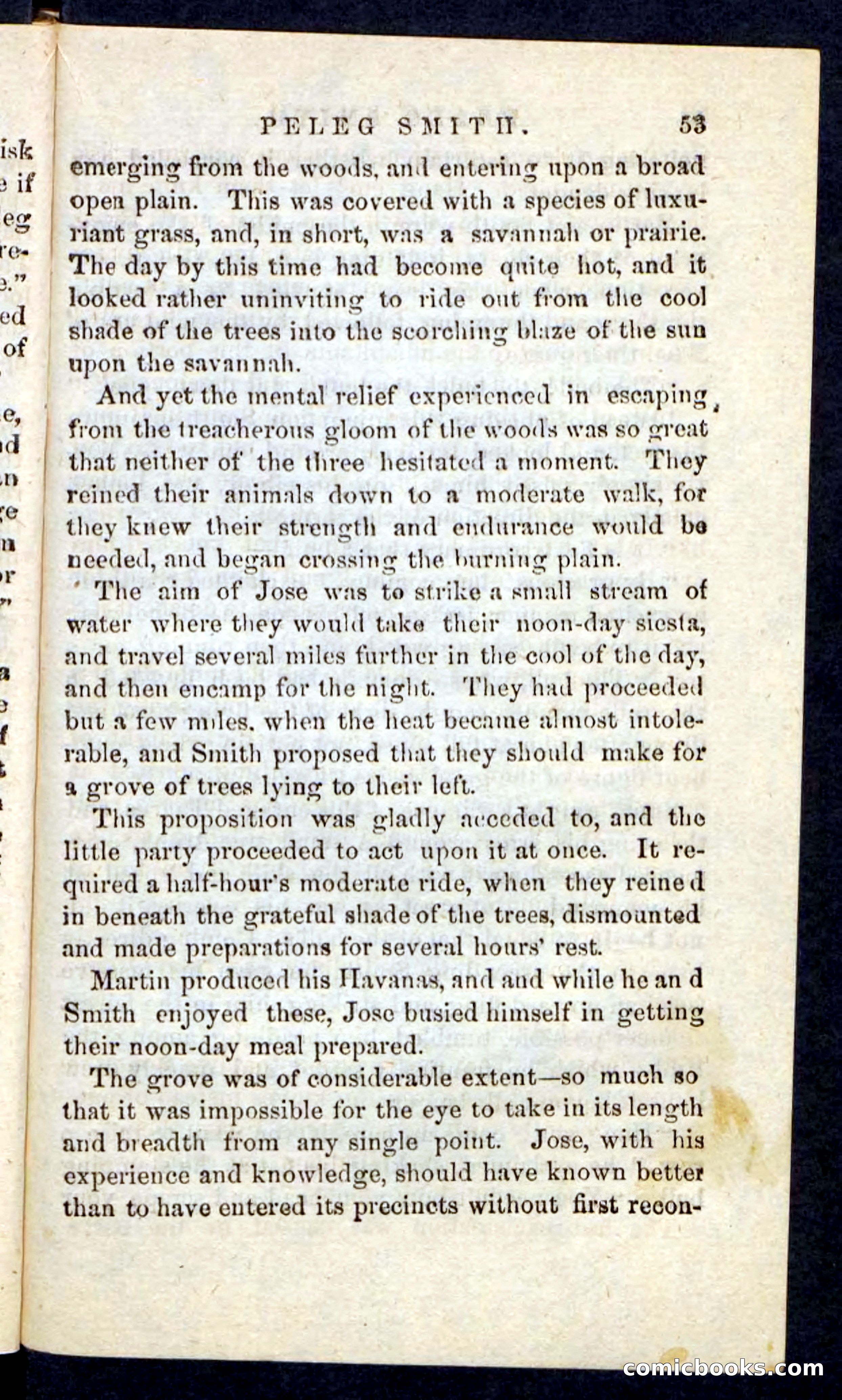 Beadle's Pocket Novels No. 216 — page 49 of 100