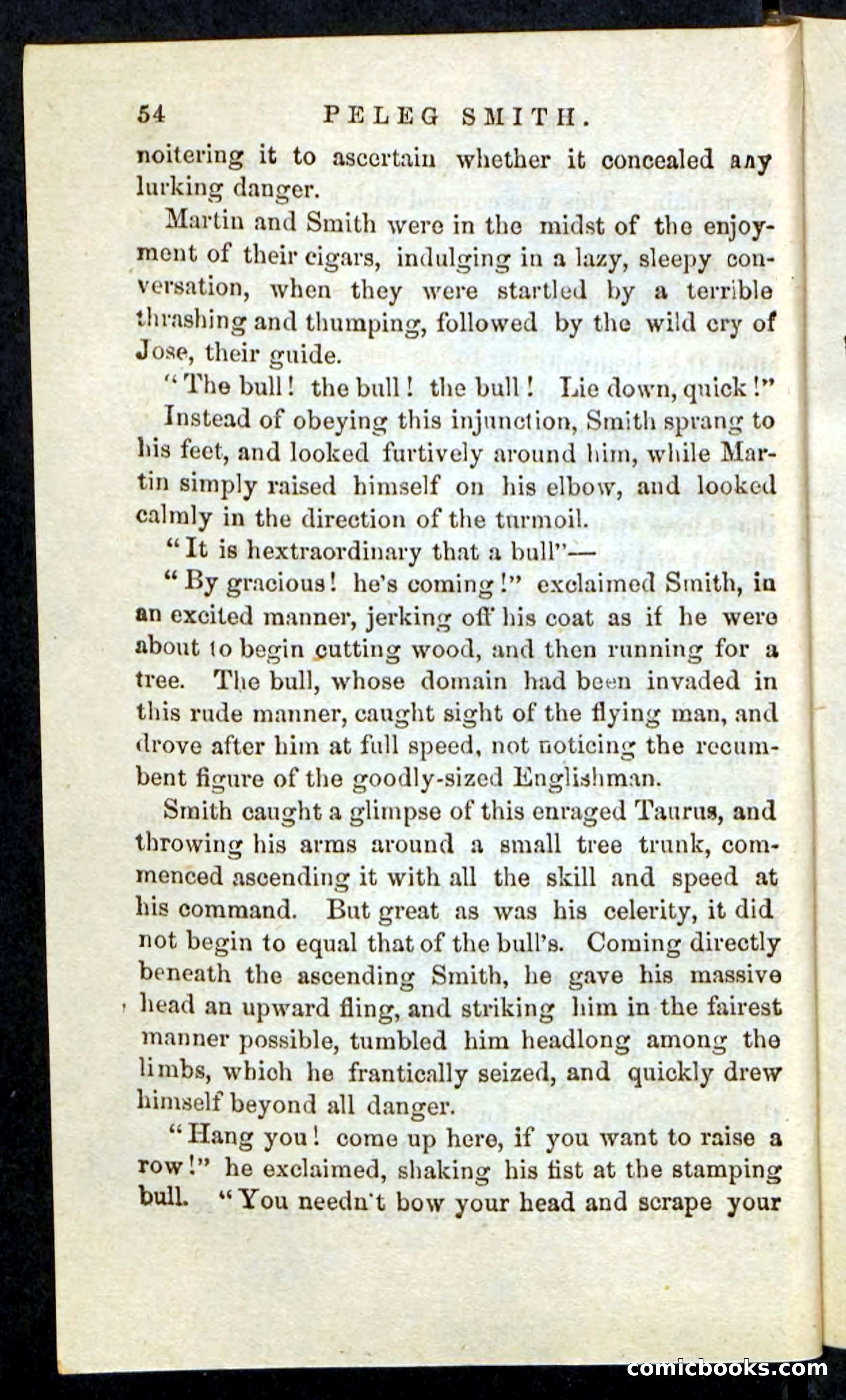 Beadle's Pocket Novels No. 216 — page 50 of 100
